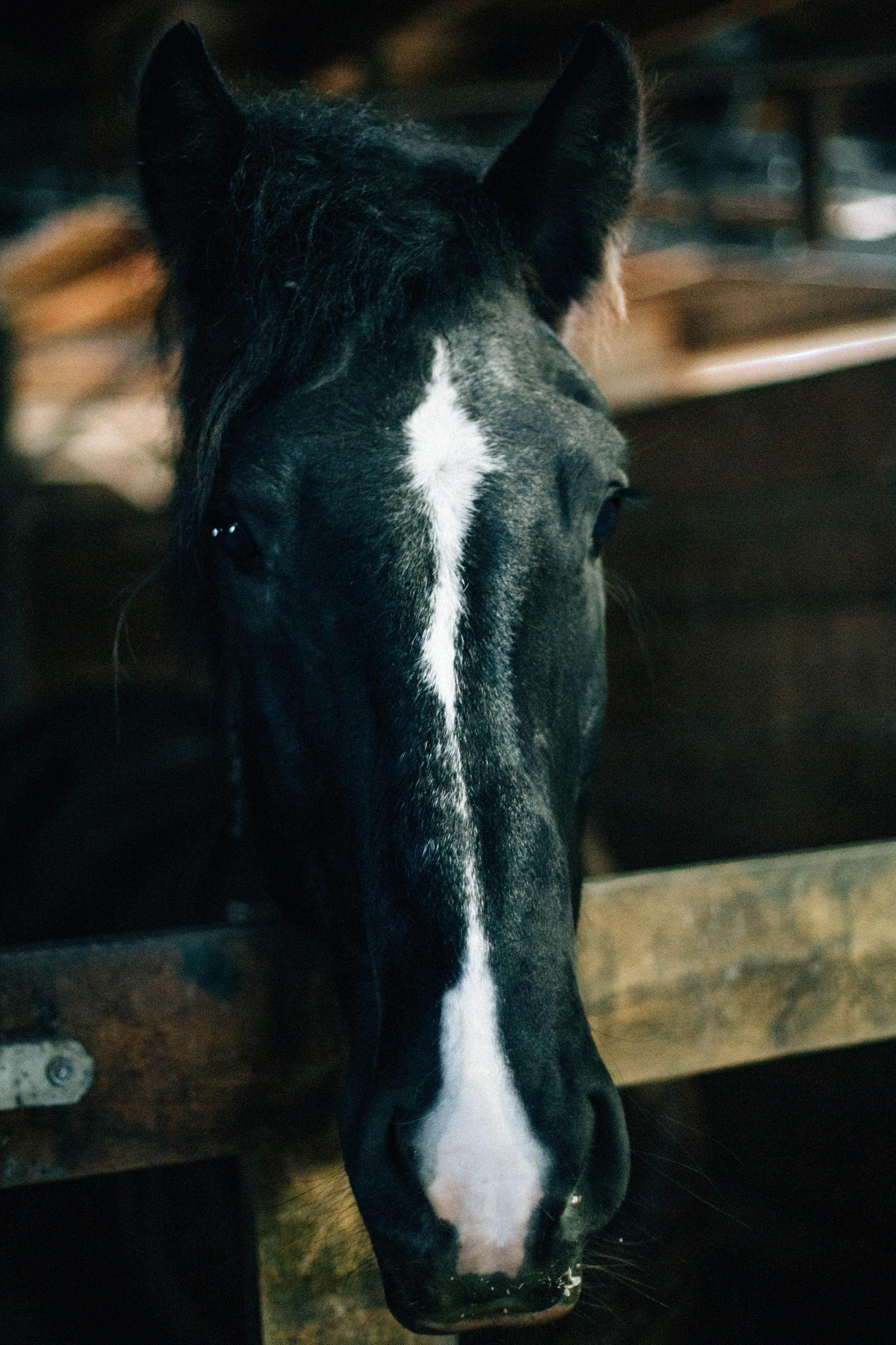 Александр и Елена. Свадебный фотограф в Краснодаре
