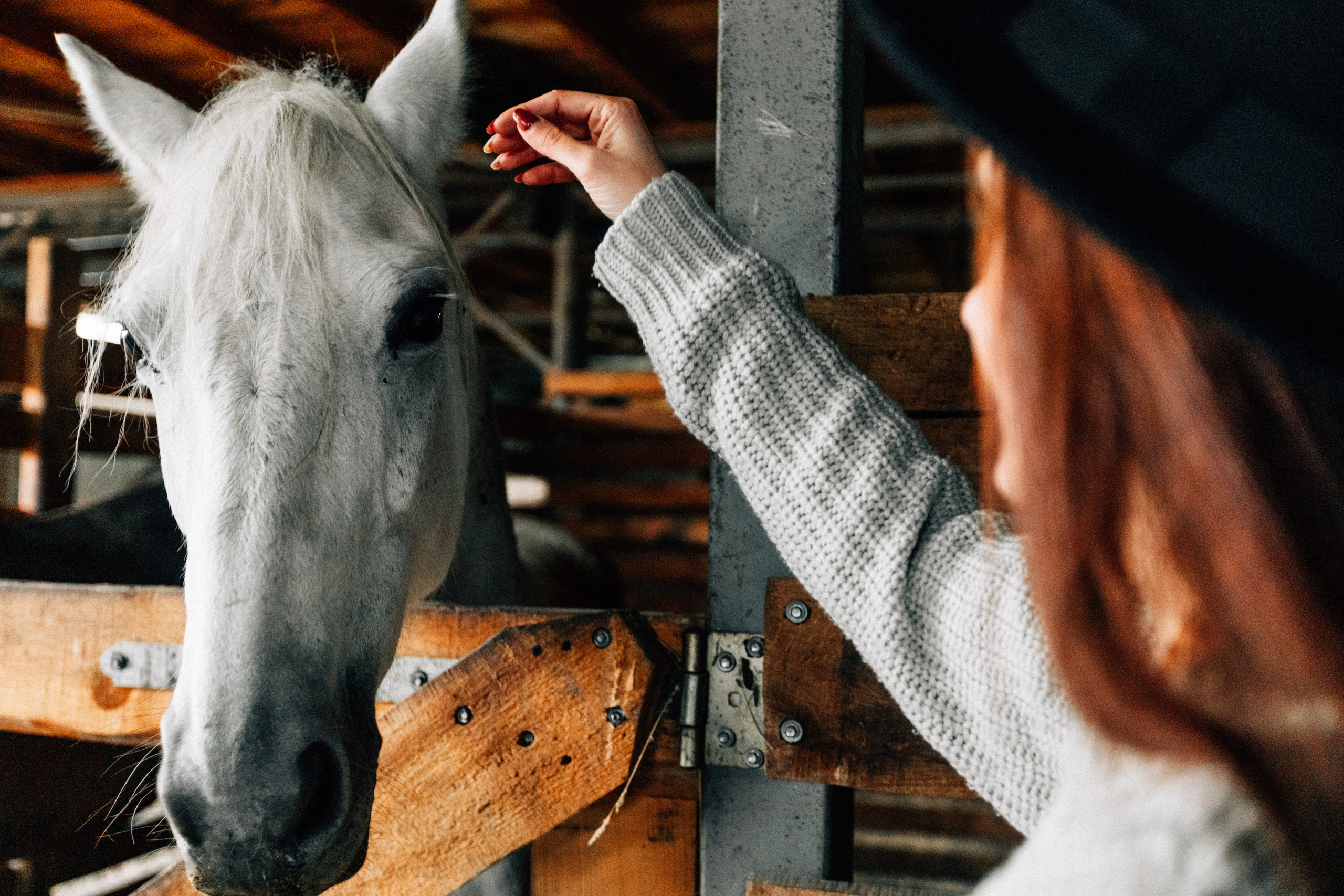 Александр и Елена. Свадебный фотограф в Краснодаре