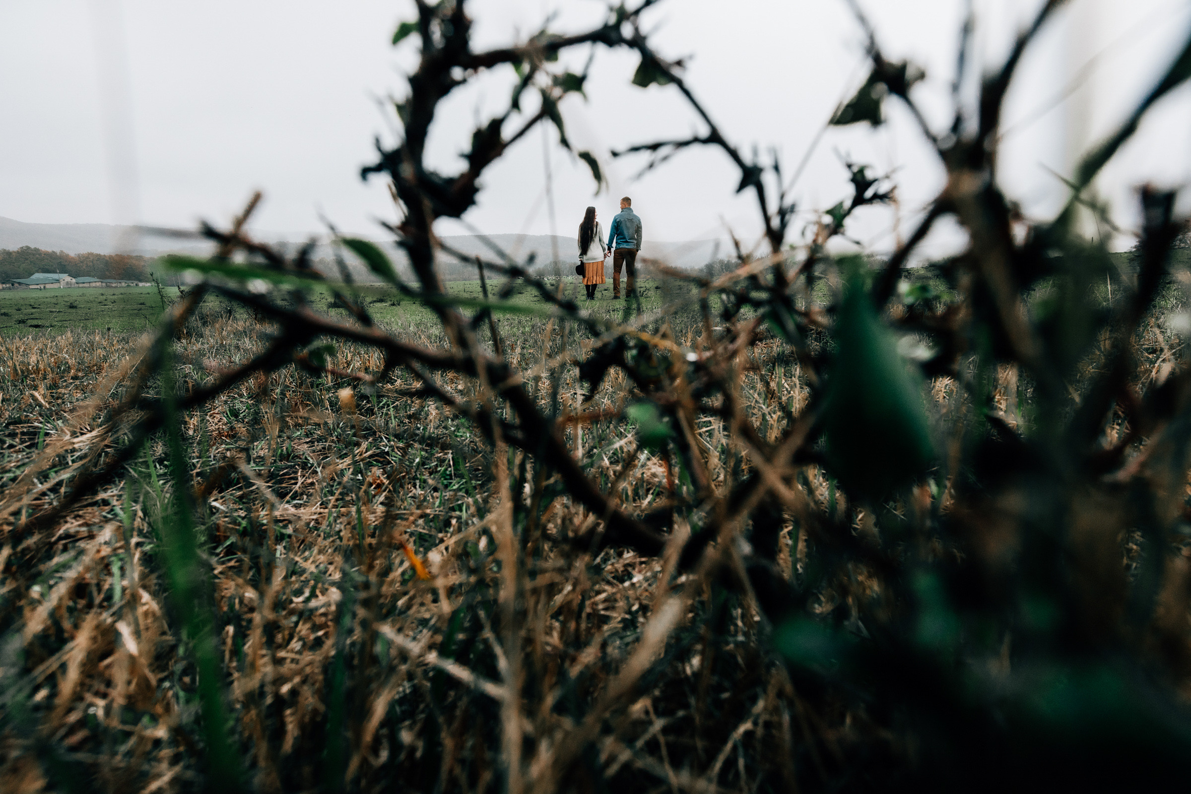 Александр и Елена. Свадебный фотограф в Краснодаре