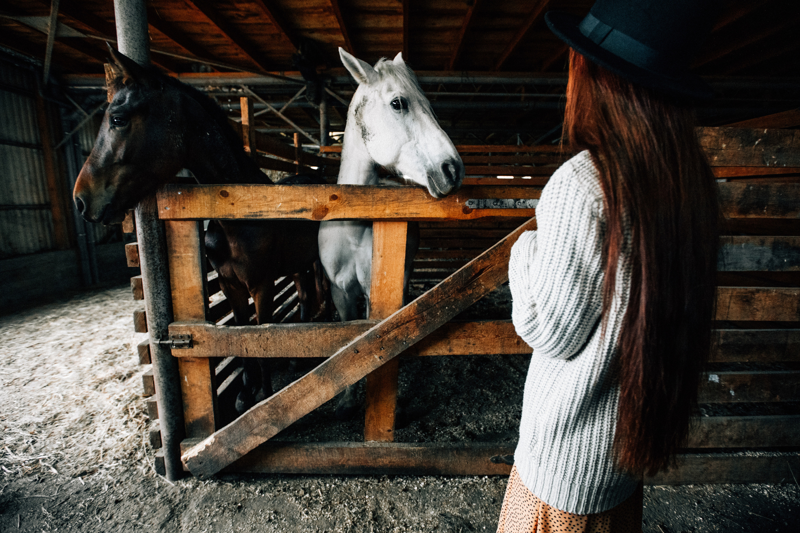 Александр и Елена. Свадебный фотограф в Краснодаре