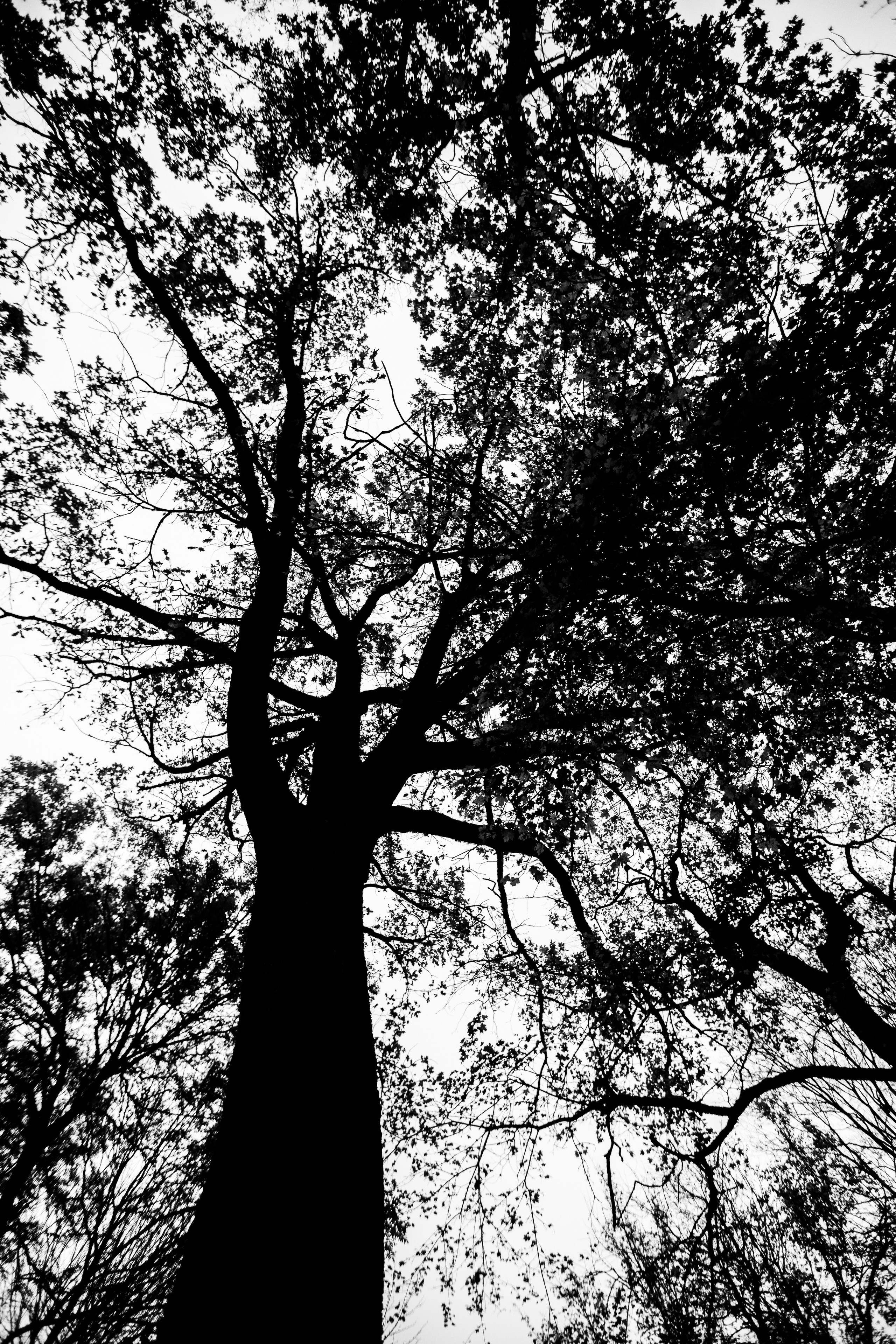 Александр и Елена. Свадебный фотограф в Краснодаре