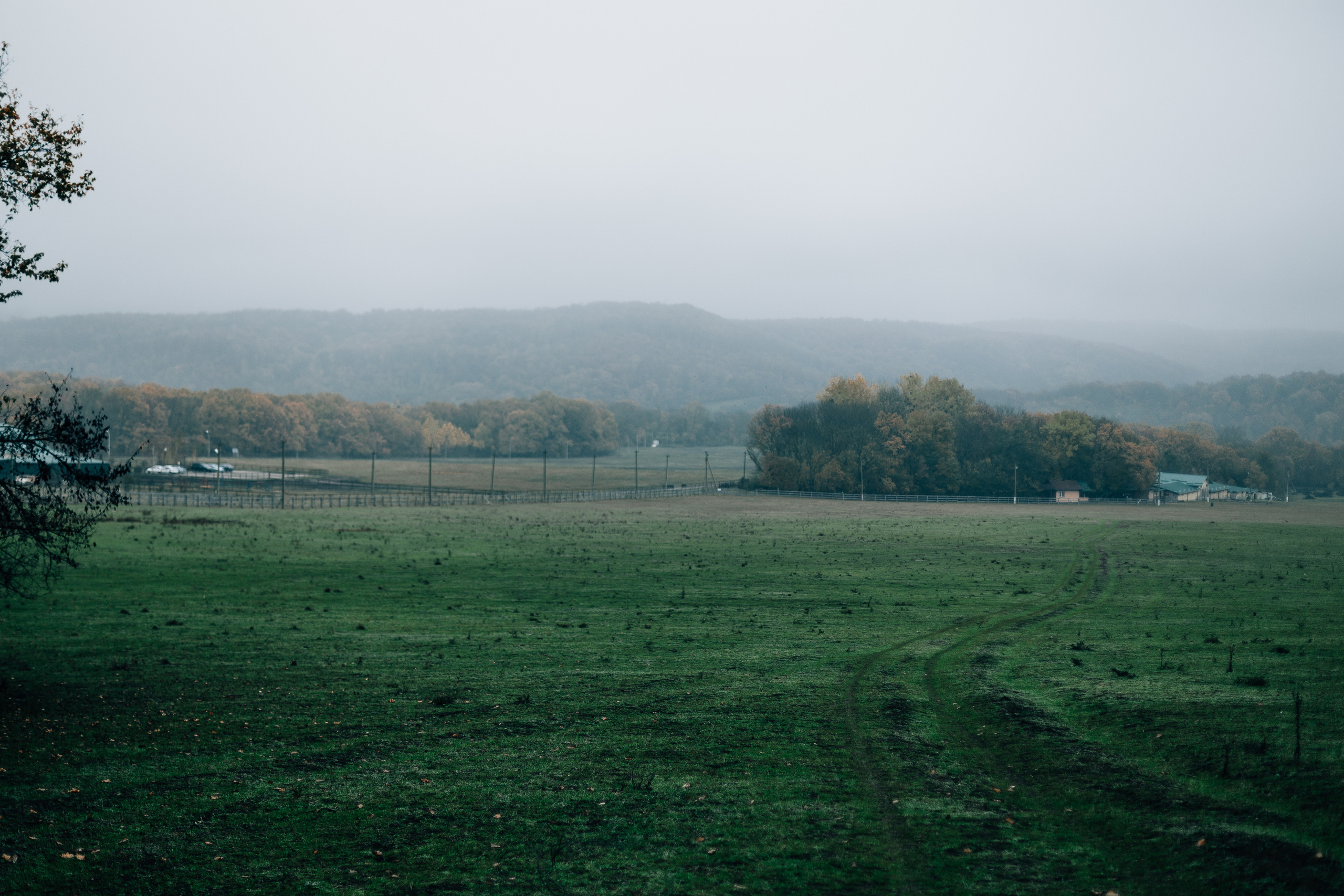 Александр и Елена. Свадебный фотограф в Краснодаре