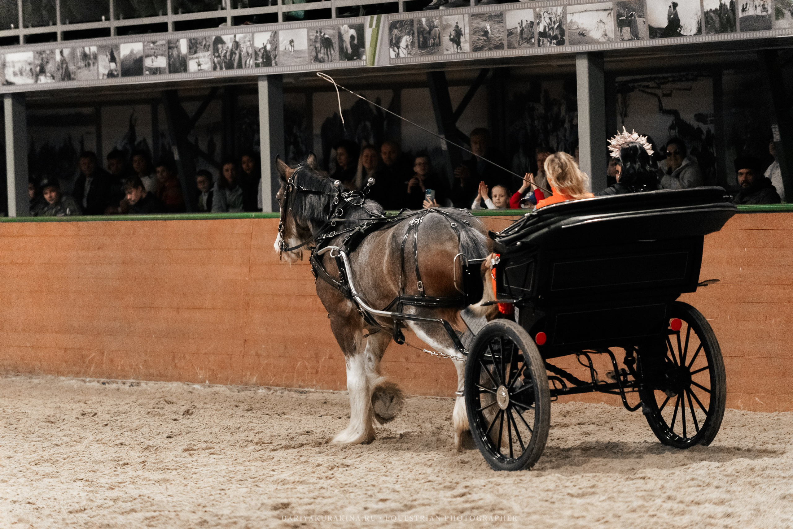 Конное представление «Дыхание Звёзд». Конный фотограф Куракина Дарья • Фотосессии с лошадьми