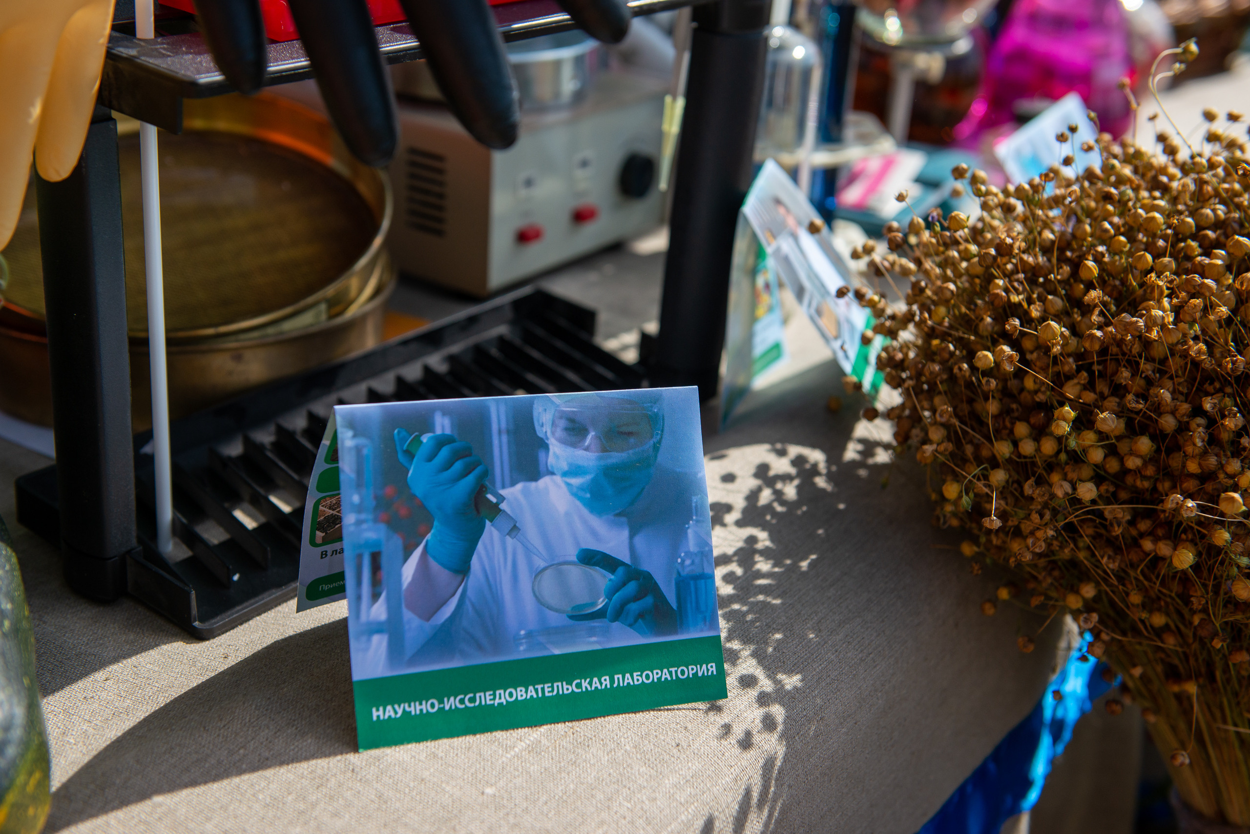 Конкурс «Лучший пахарь». Свадебный фотограф в Смоленске — Дмитрий Гагарин