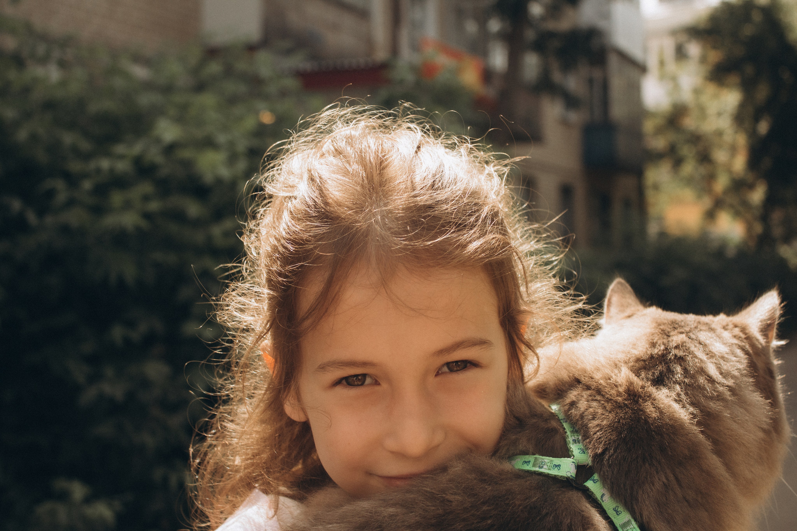 Утренняя прогулка. Главная