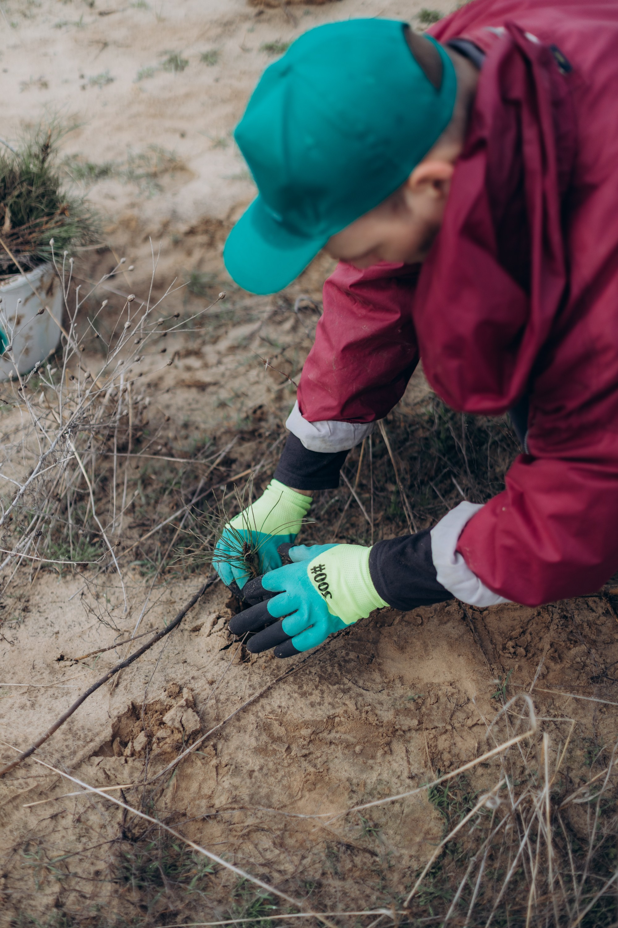 Акция «Лес будущего». Артём Панфилов — Свадебный и семейный фотограф в Ростове-на-Дону