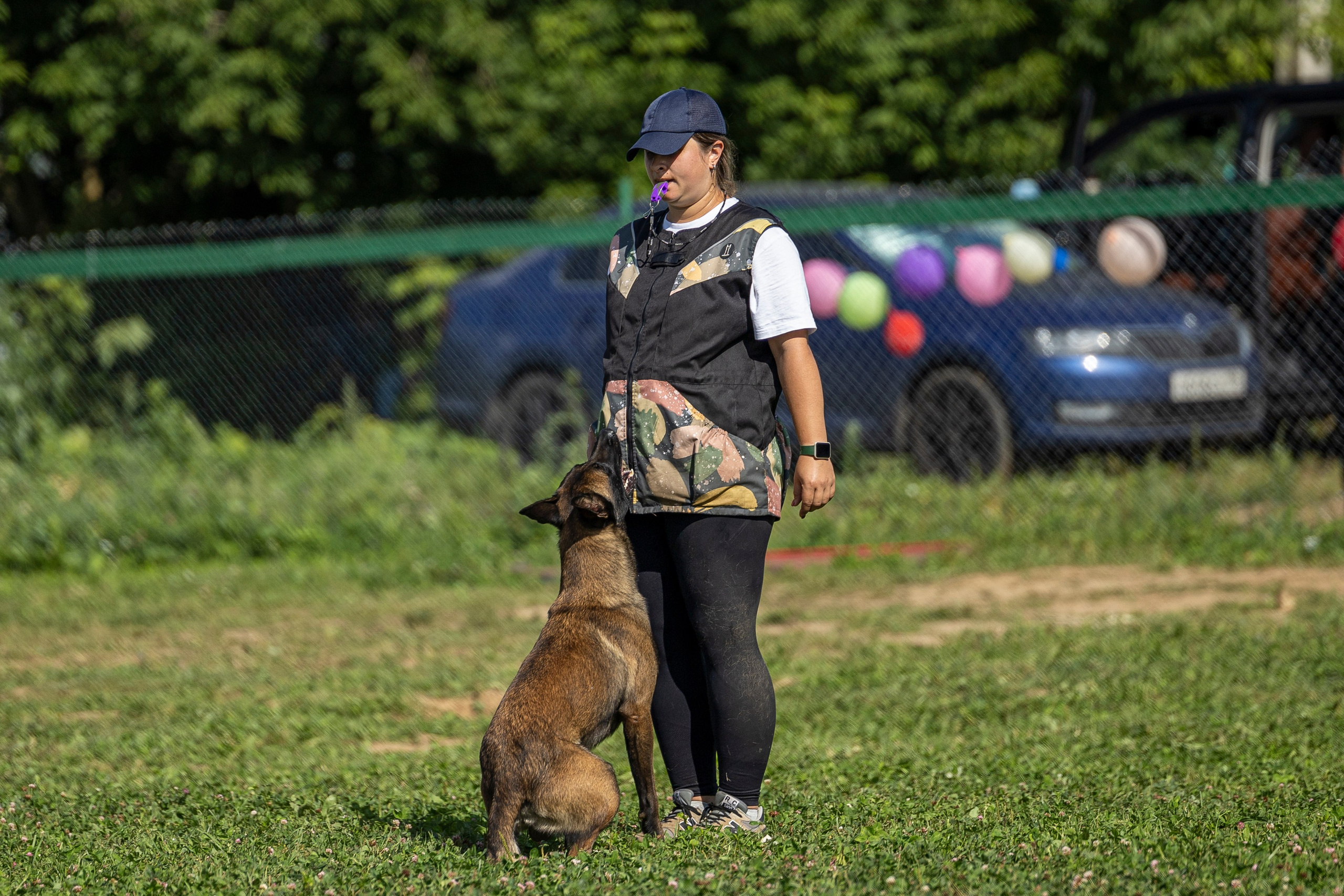 Соревнования по Мондьорингу г. Вологда 10-11.08.2024. Фотограф-анималист Анна Маринич