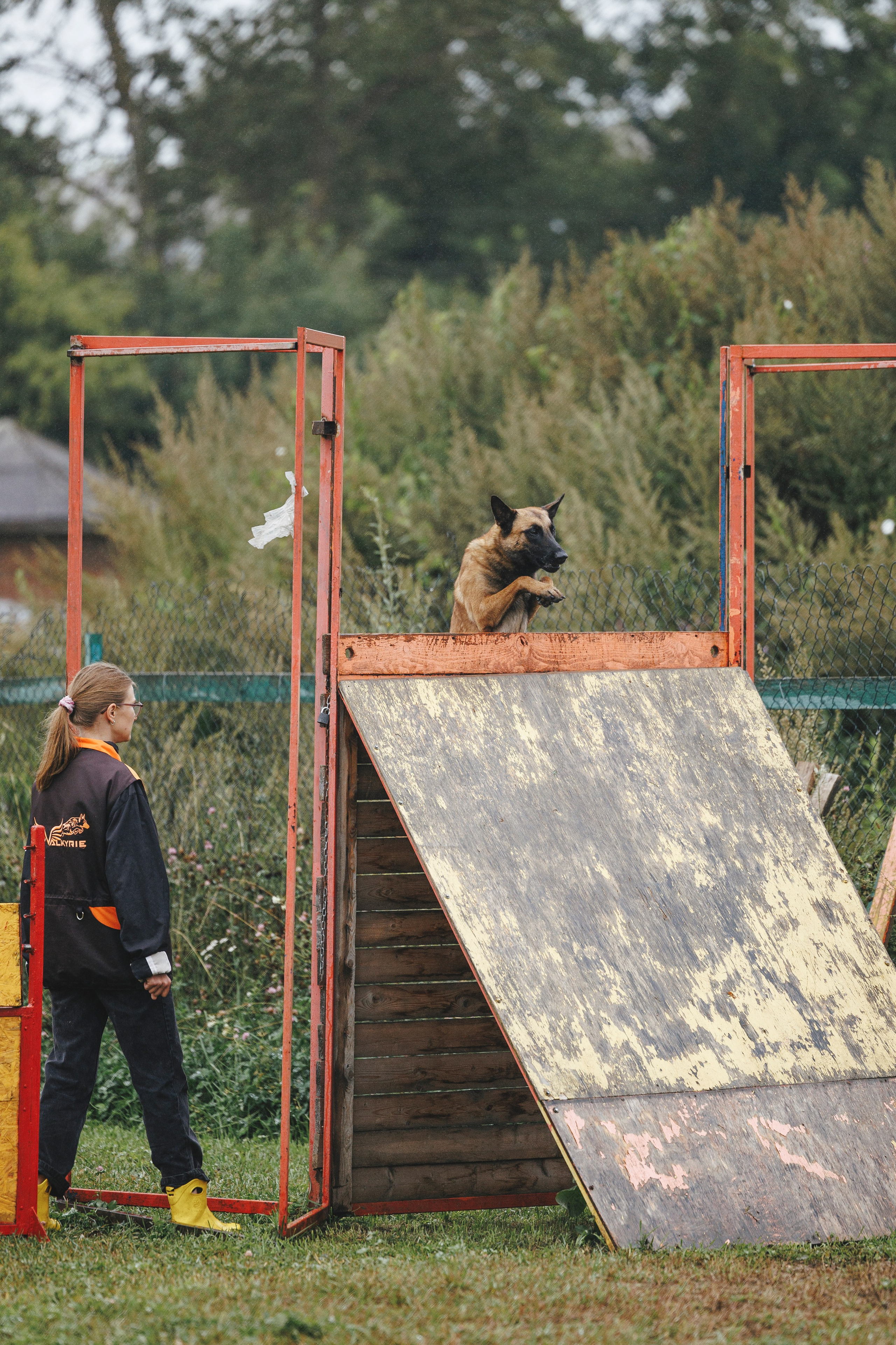 08.08.25-10.08.25 ЧР по мондьорингу г. Вологда. Фотограф-анималист Анна Маринич