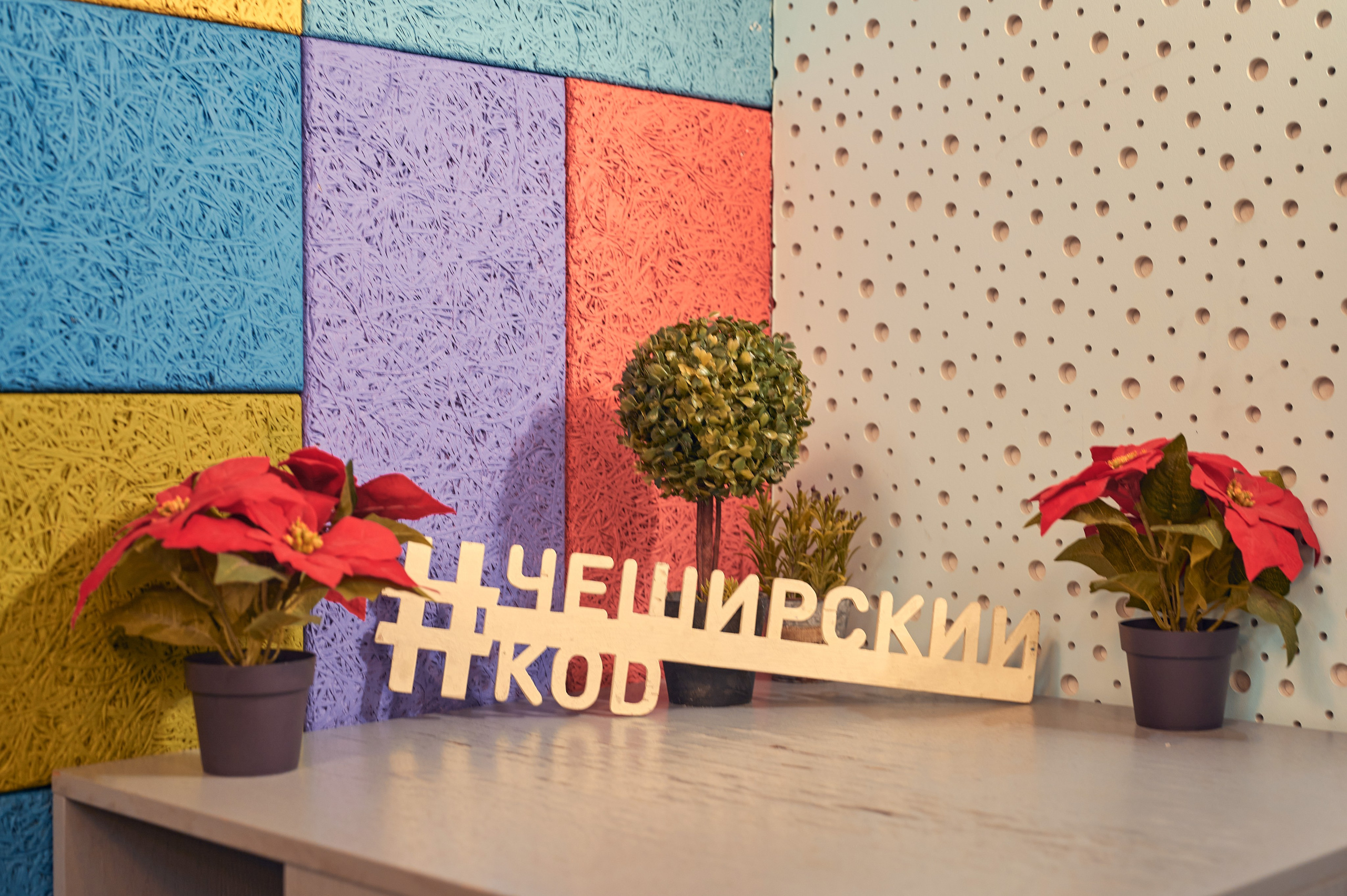 Чеширский Коd — 5 локаций. Фотограф Яковлев Роман — Красноярск