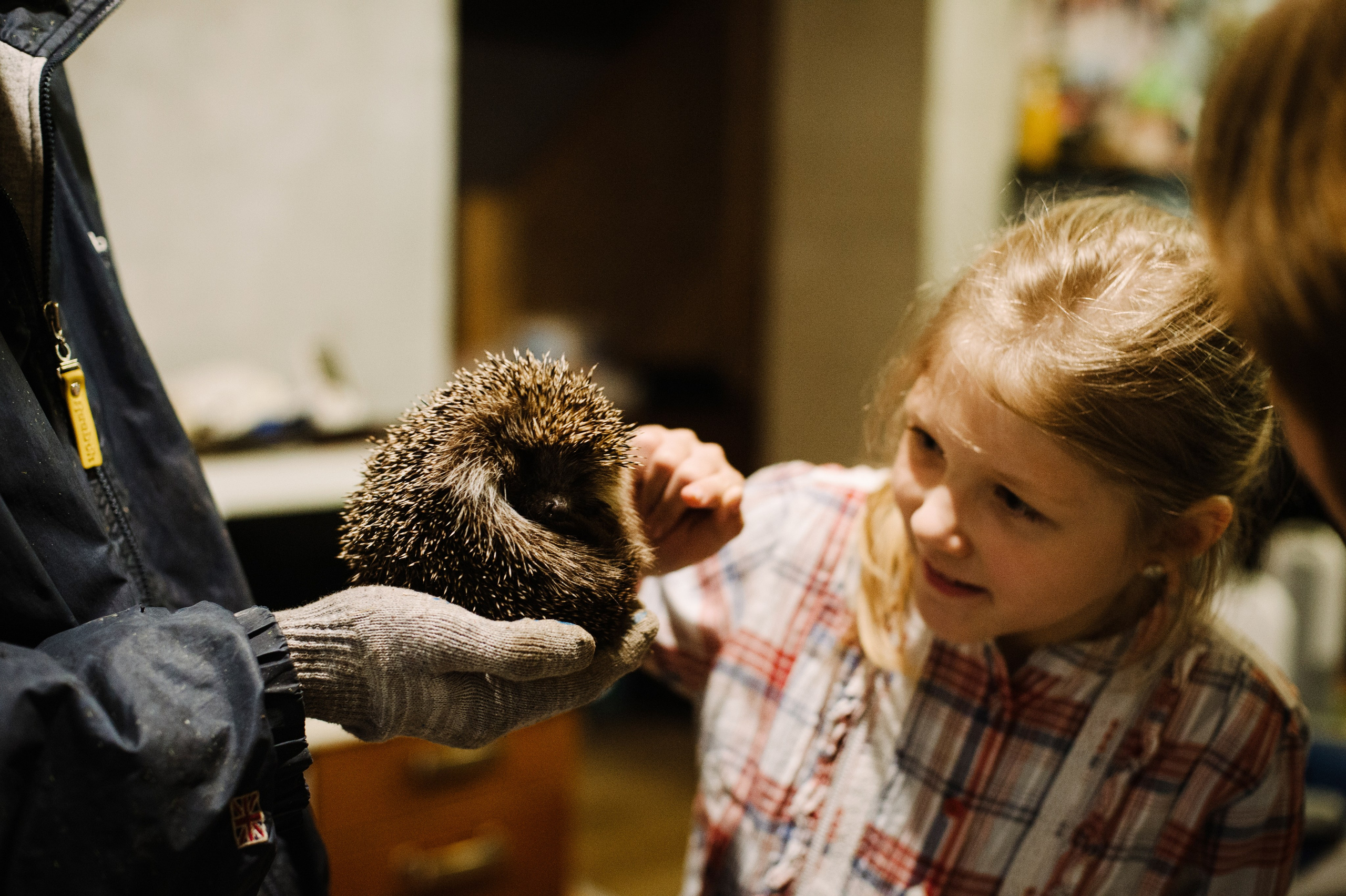 Дачная жизнь. Фотограф Алиса Калинина