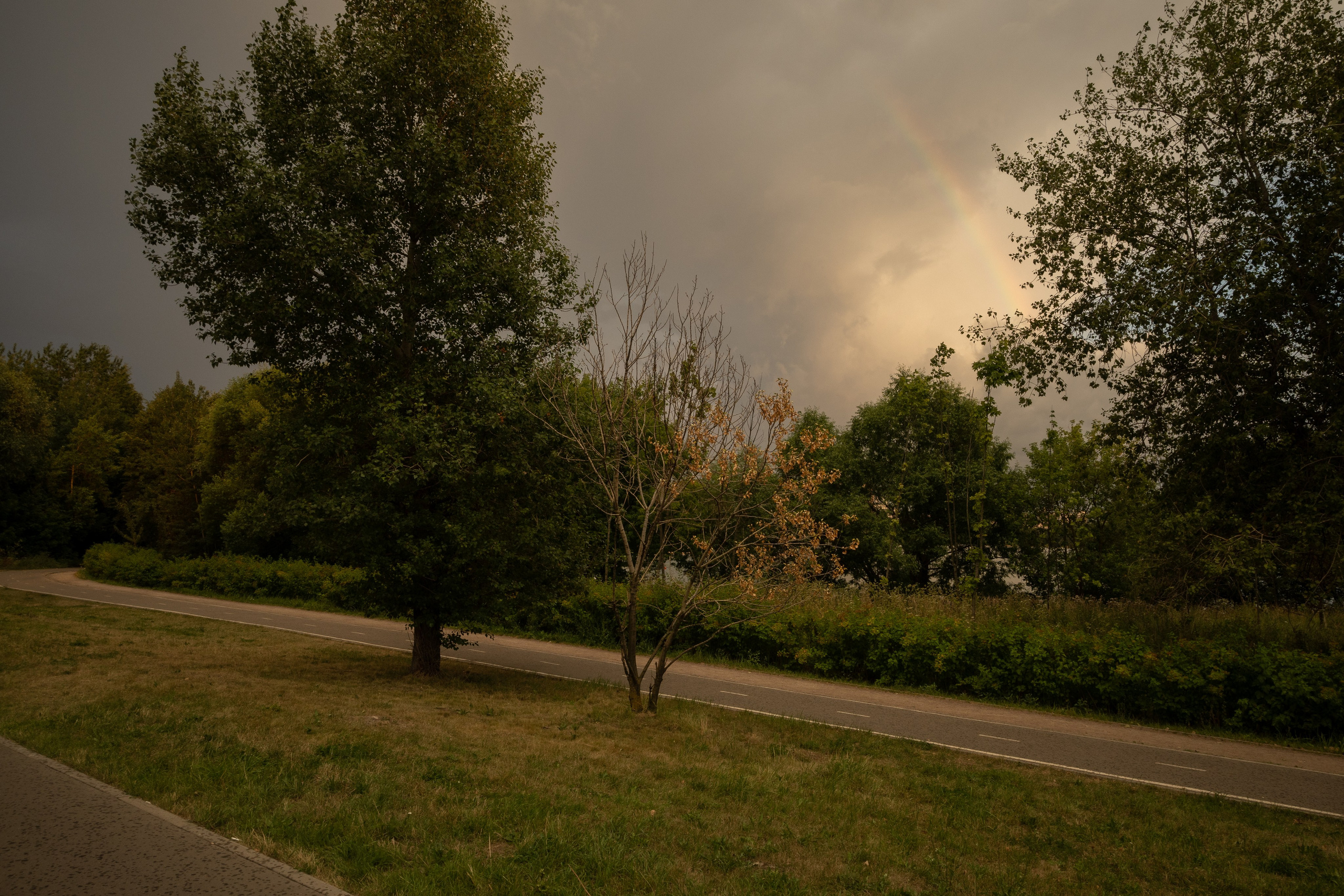 Лето на окраине. Pavel Basin