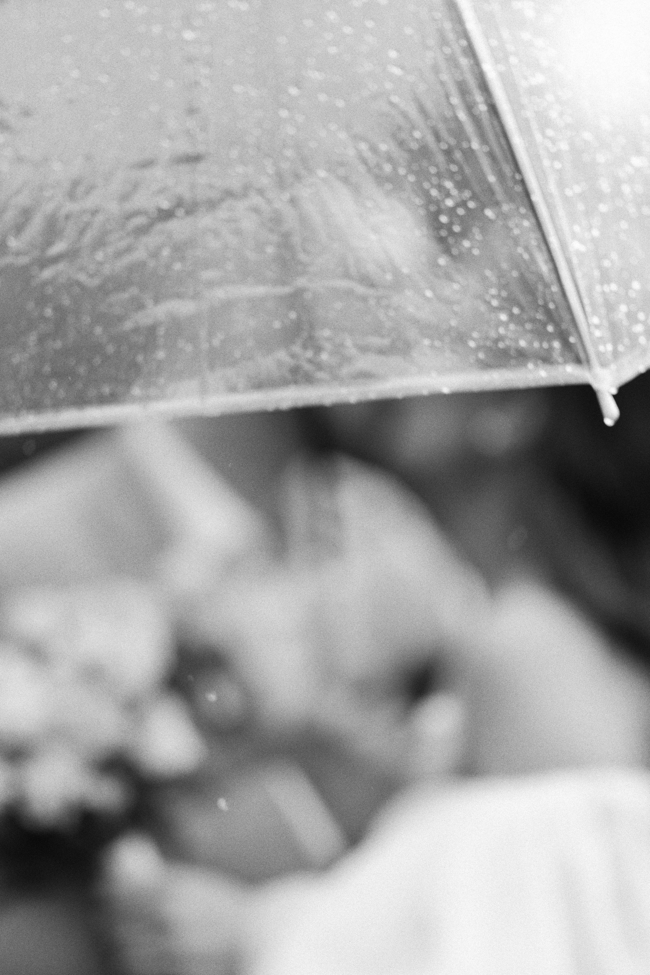 МАРГАРИТА & ВЛАДИСЛАВ ` 08.06.24. Maria Startseva Photo