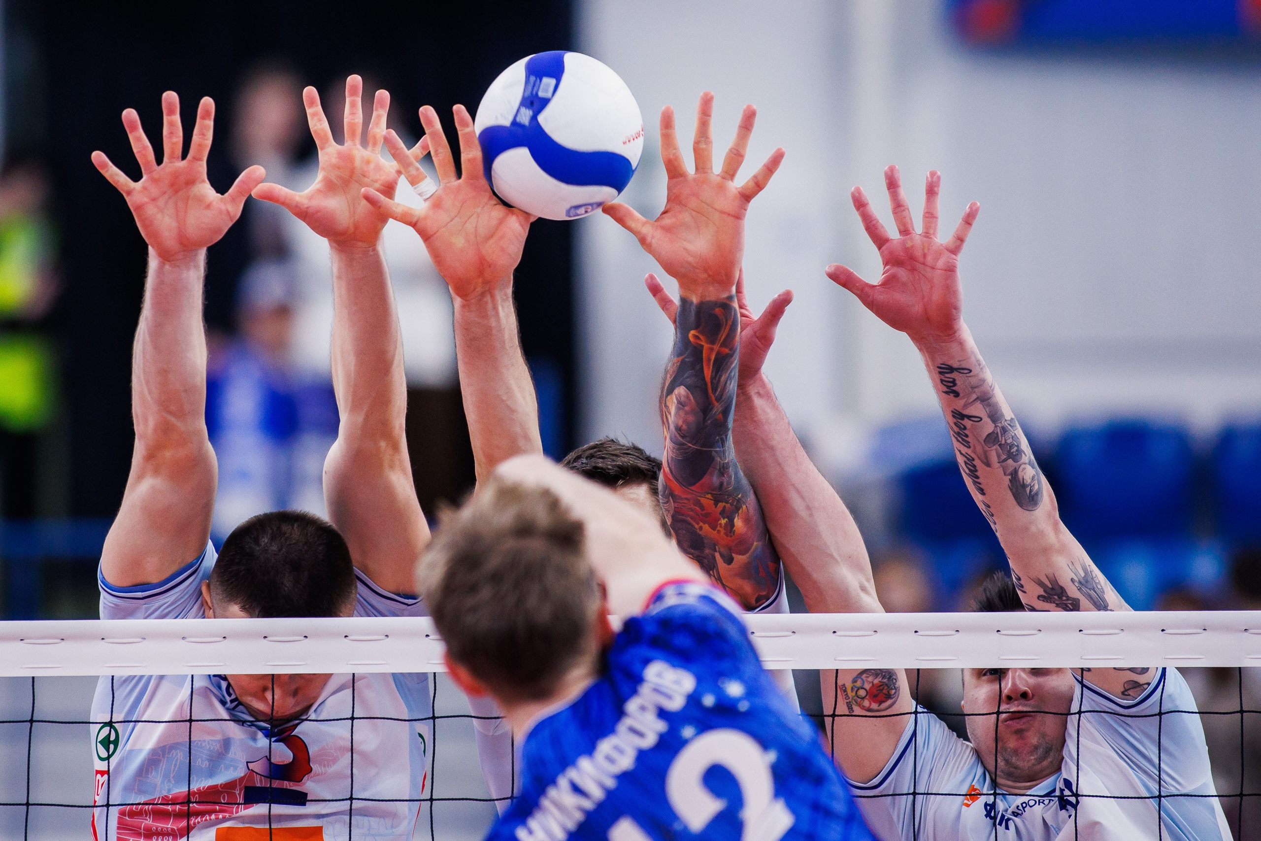 ВК Динамо 2025/26. Photographer Danil Aykin