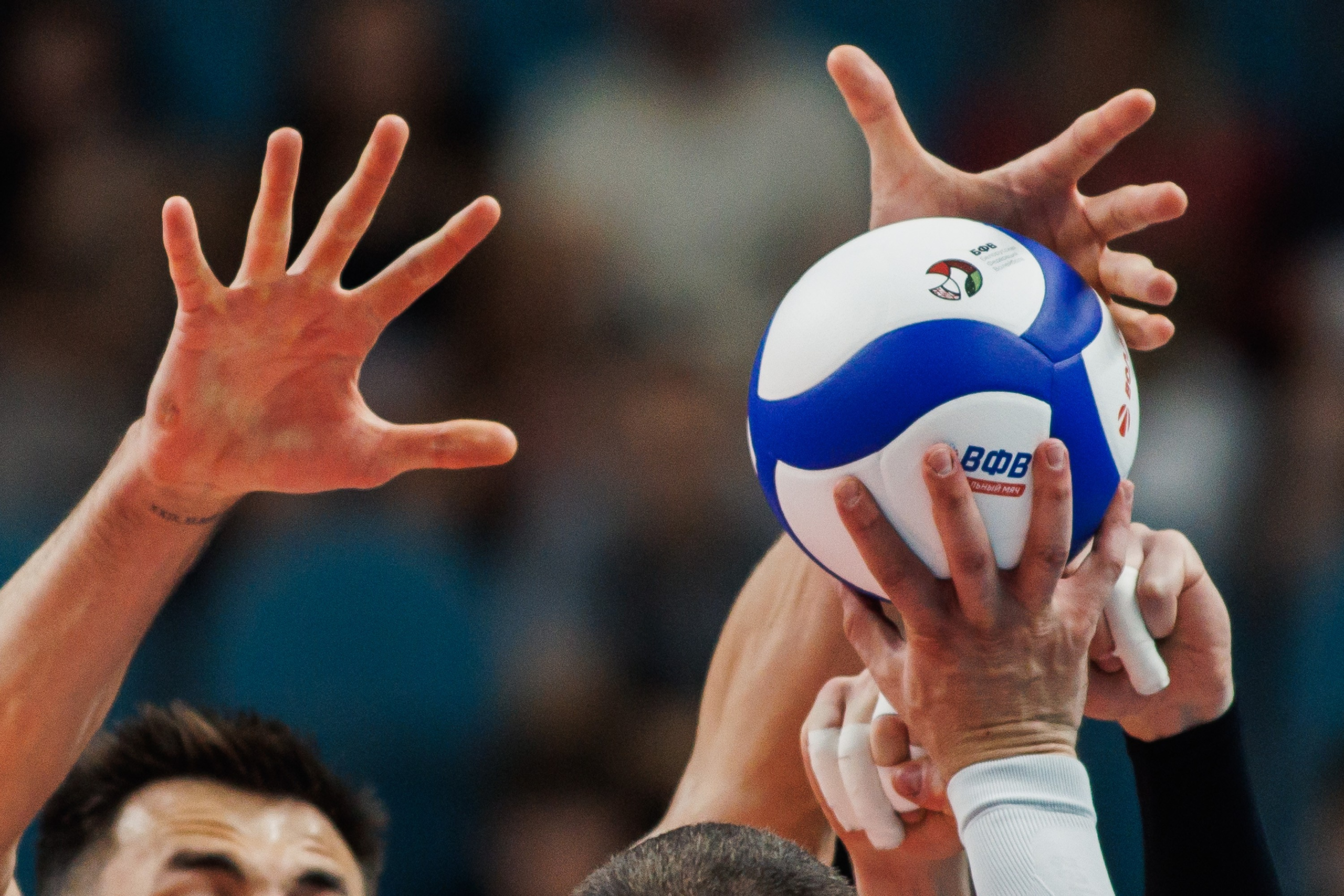 Товарищеские матчи. Волейбол. Россия — Беларусь. Photographer Danil Aykin
