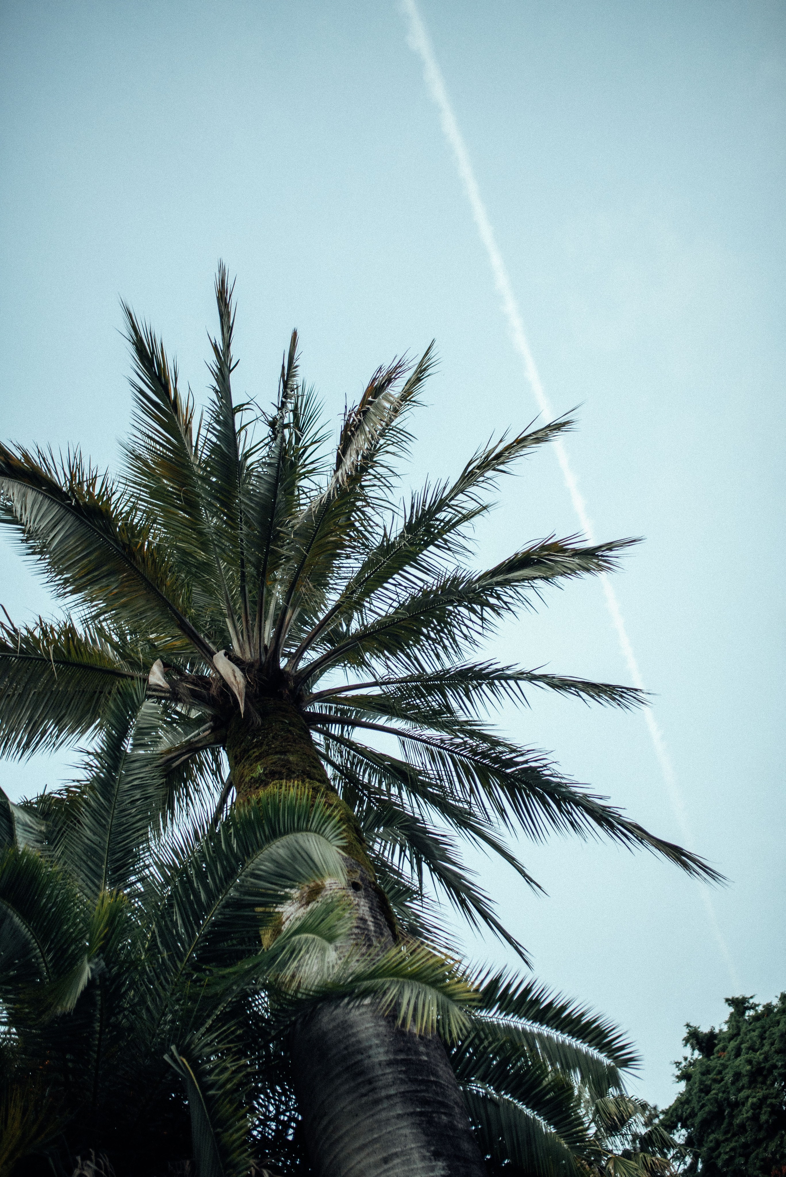 Фотосессия в центре Сочи в парке Дендрарий. Фотограф в Сочи — Маргарита Поганова