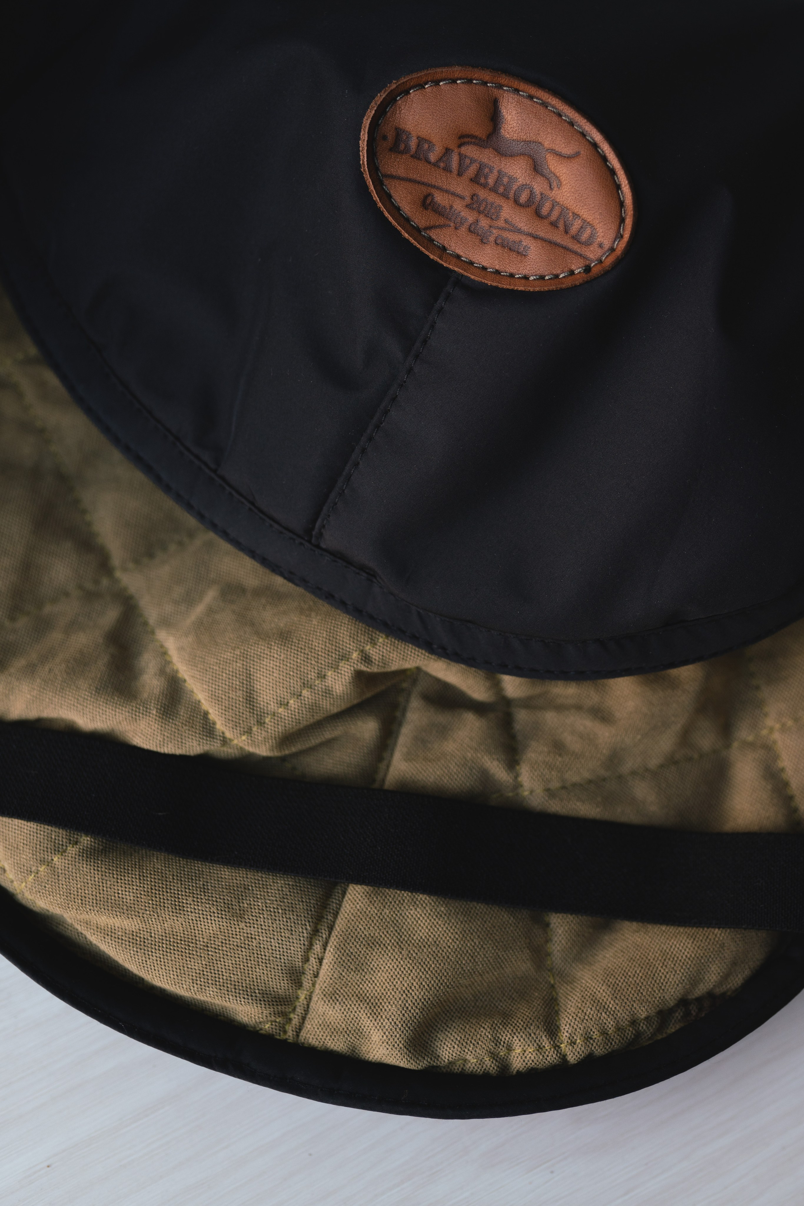 Одежда для собак Bravehound. Фотограф анималист Осипчикова Мария