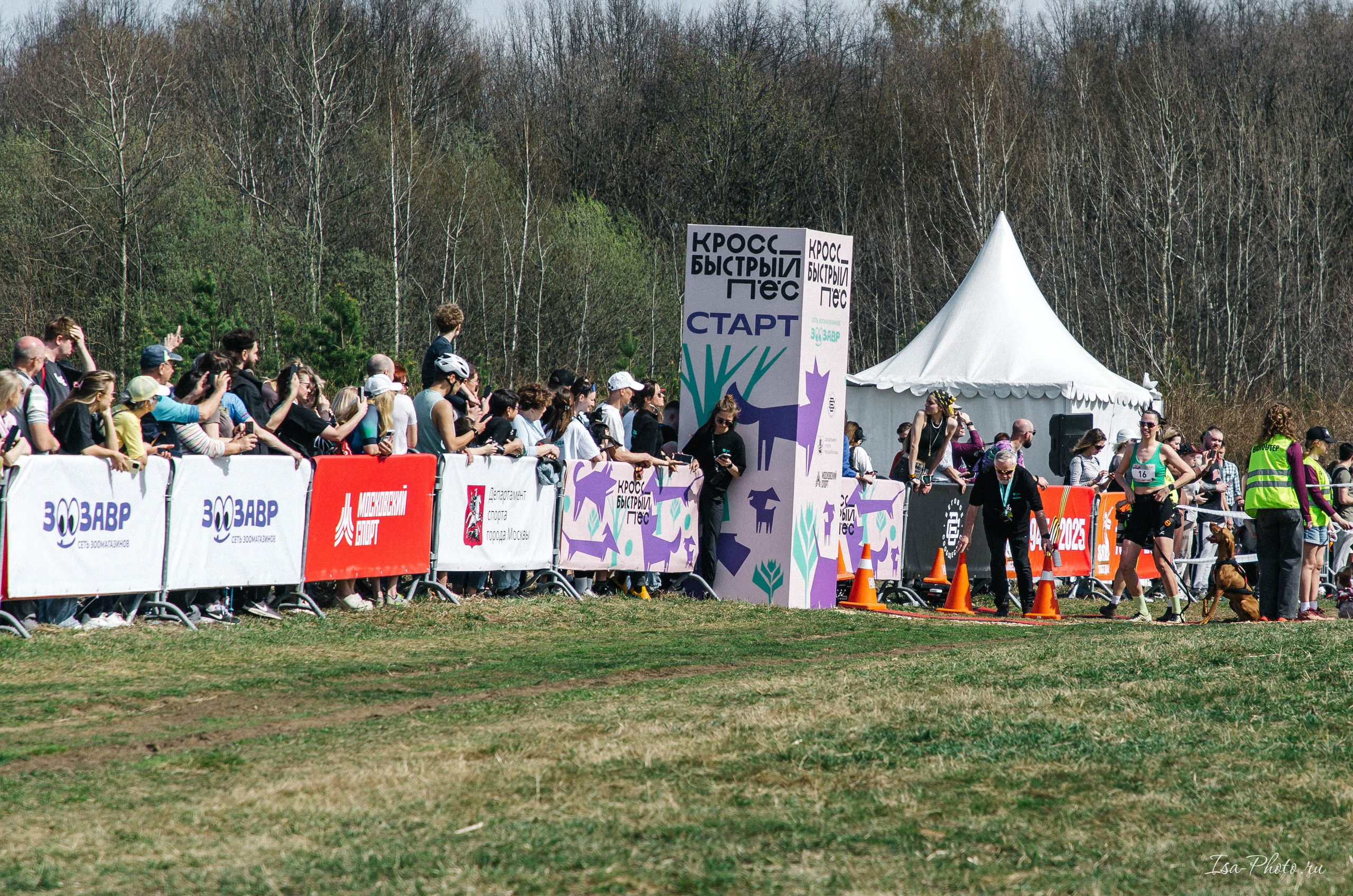 Кросс «Быстрый пёс» 2025. Репортажный фотограф в Москве