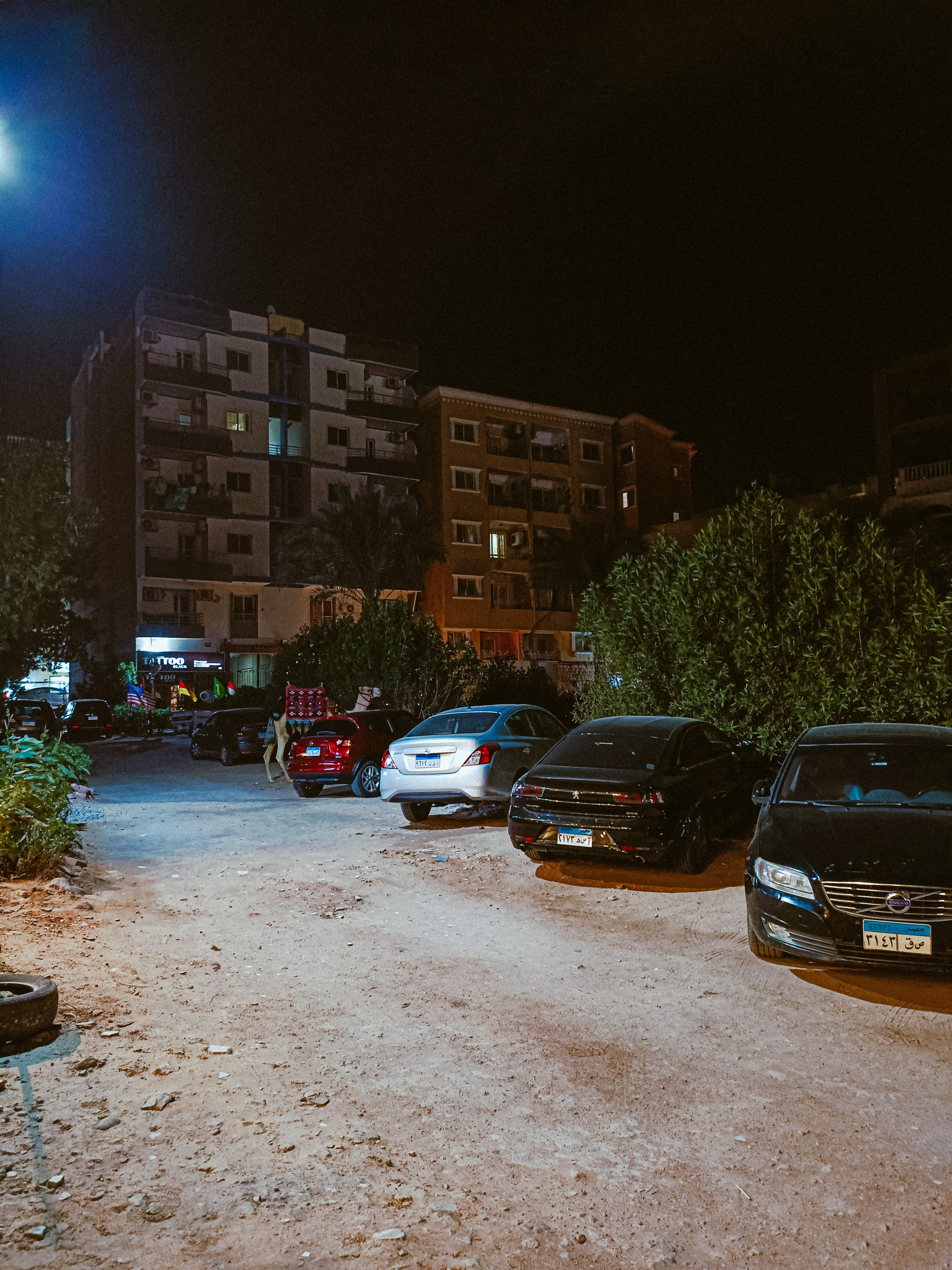 Мобильная. Jorgis — фотограф в Хургаде / обучение фотографии