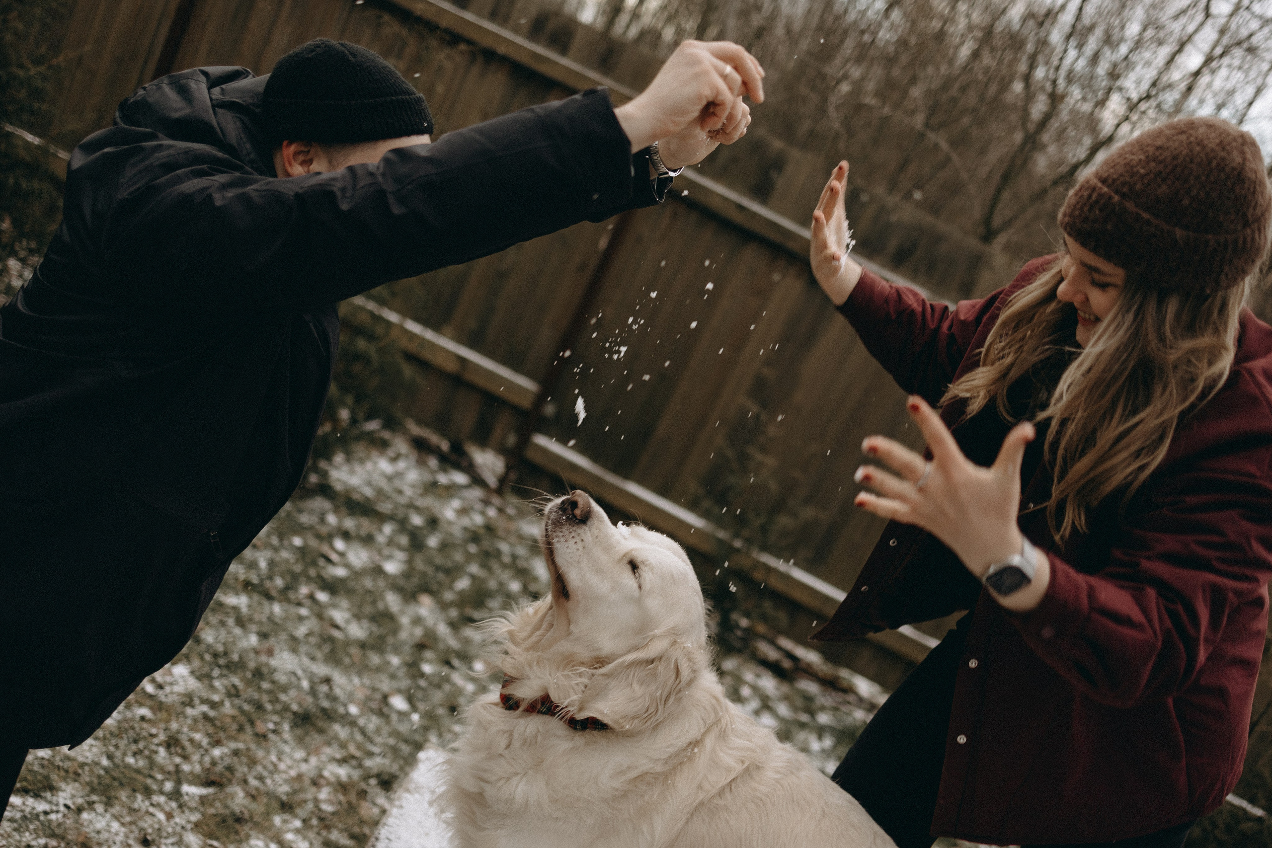 Оливер и его семья. Фотограф — Анималист | Санкт-Петербург