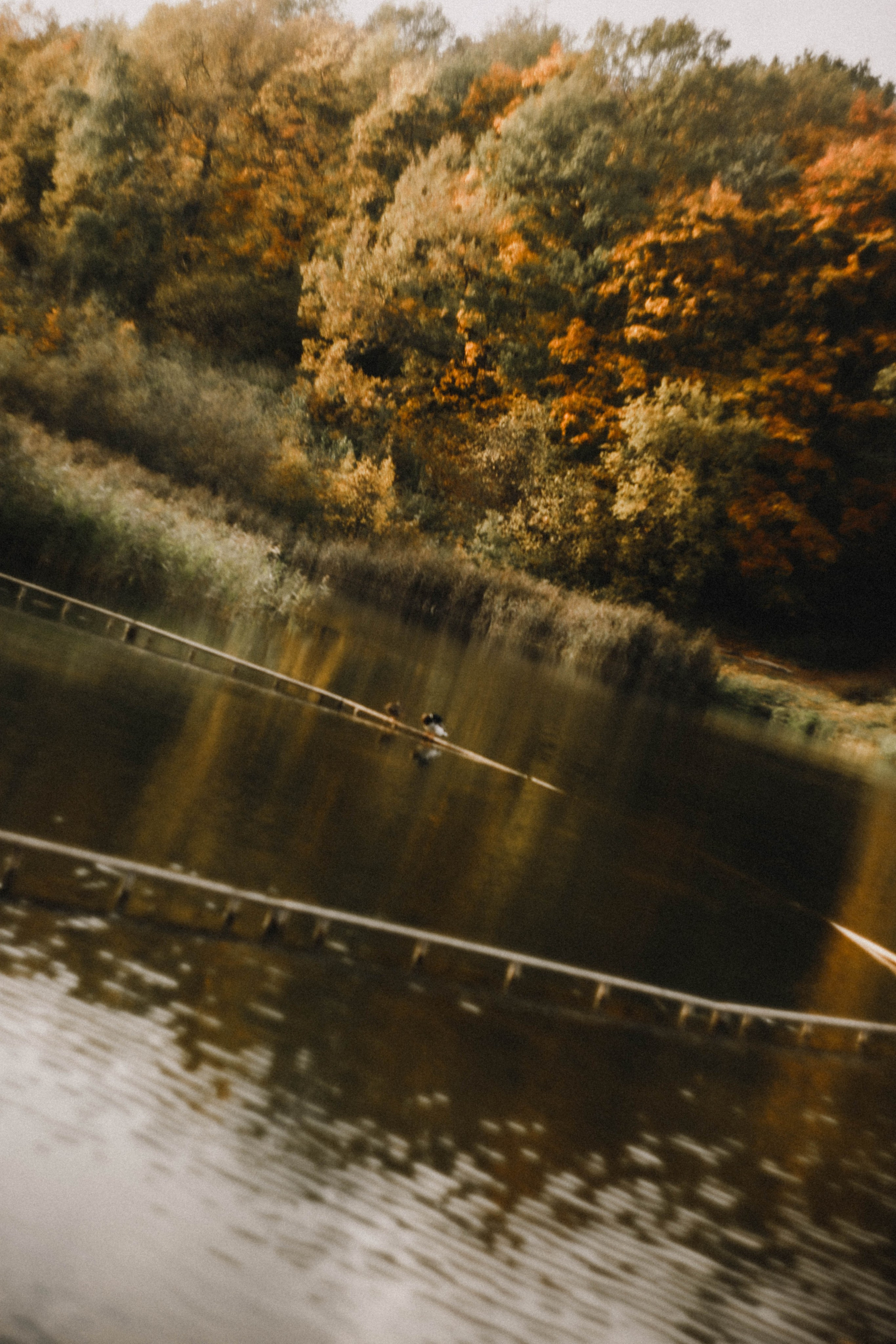 Анна на Щелчке. Осень. Фотограф в Нижнем Новгороде