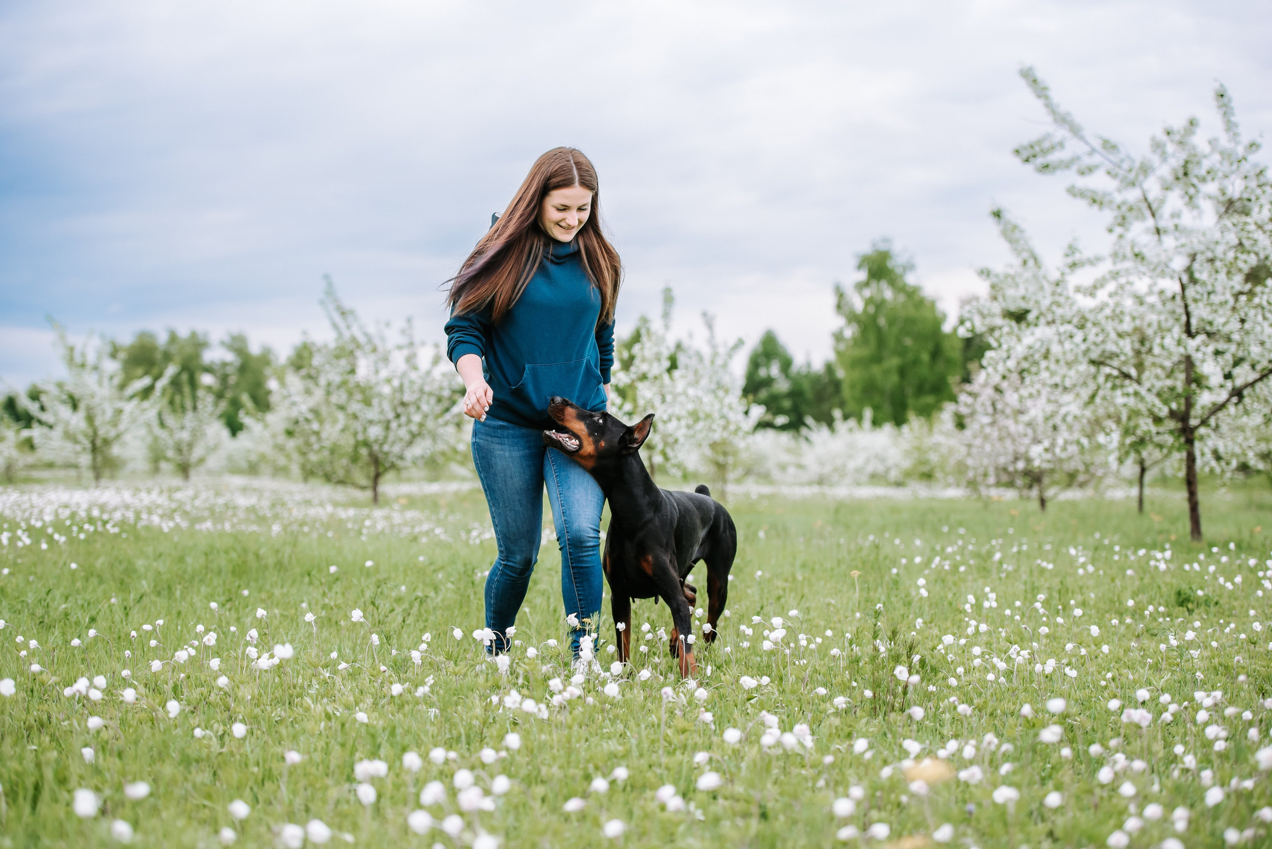 Цветение с доберманами. Фотограф Диана Оленина Красноярск / Братск