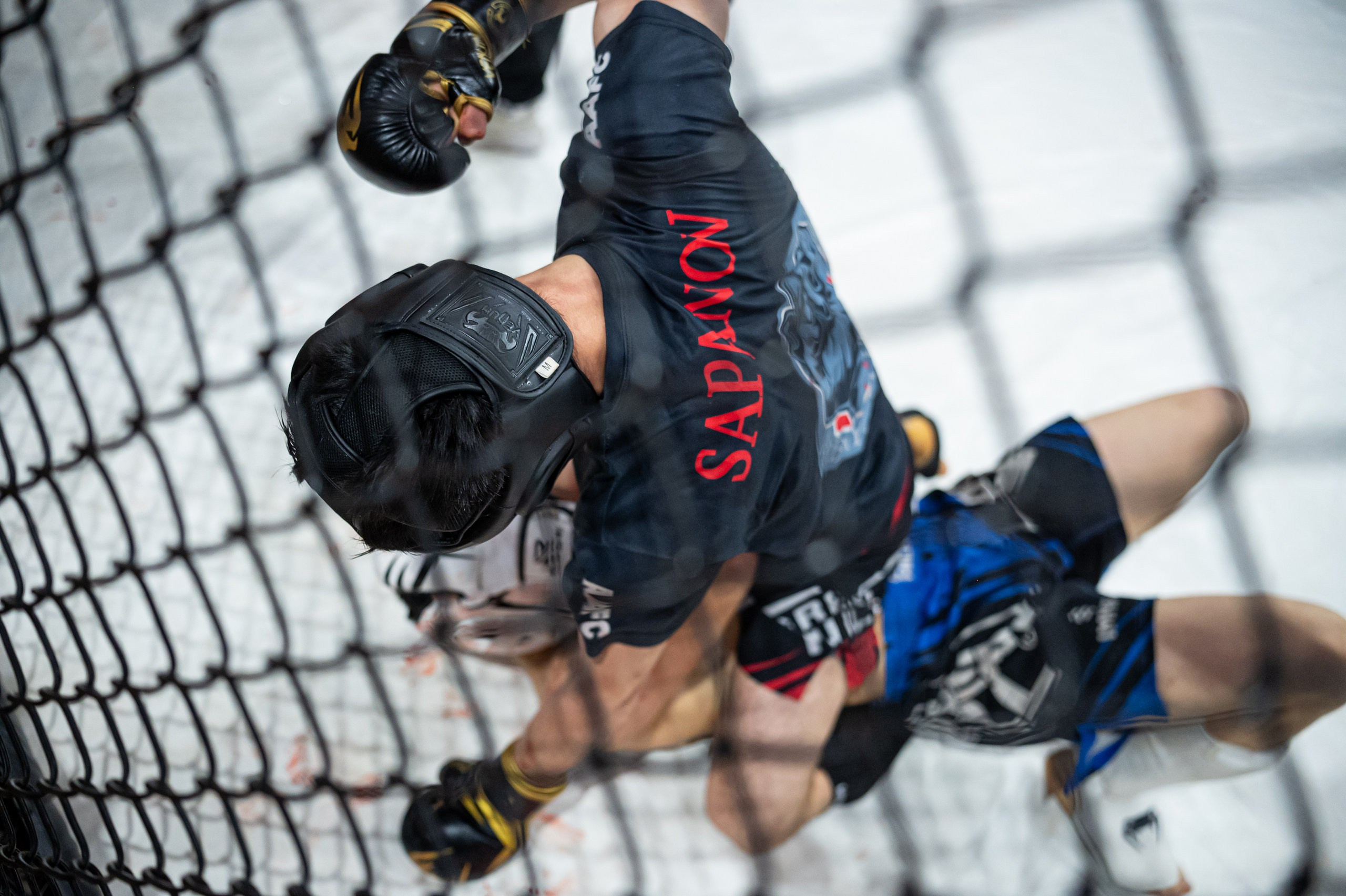 Смешанные единоборства. Дмитрий Юн