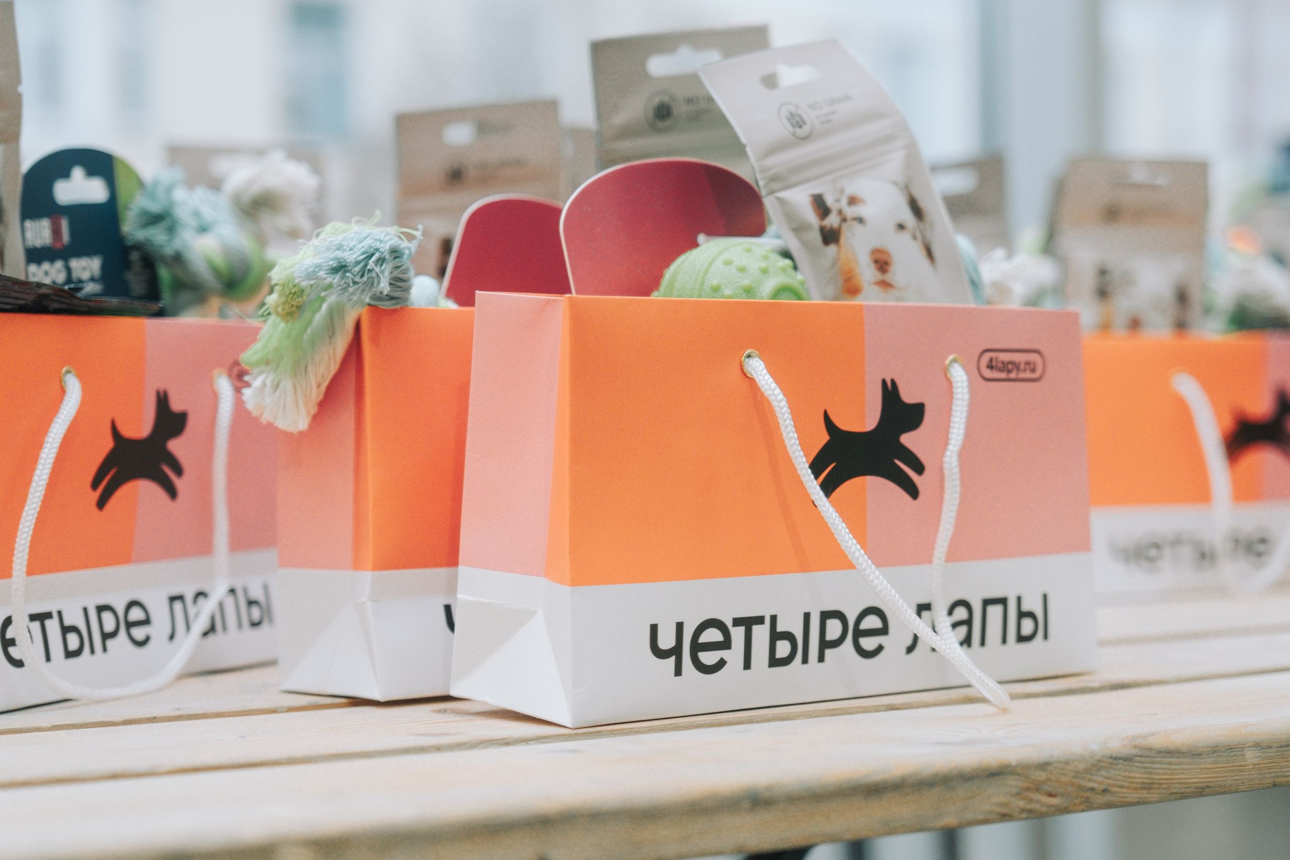 ПЕТ-БРАНЧ («РЕЛЬСЫ» Х «4 ЛАПЫ»). Главная