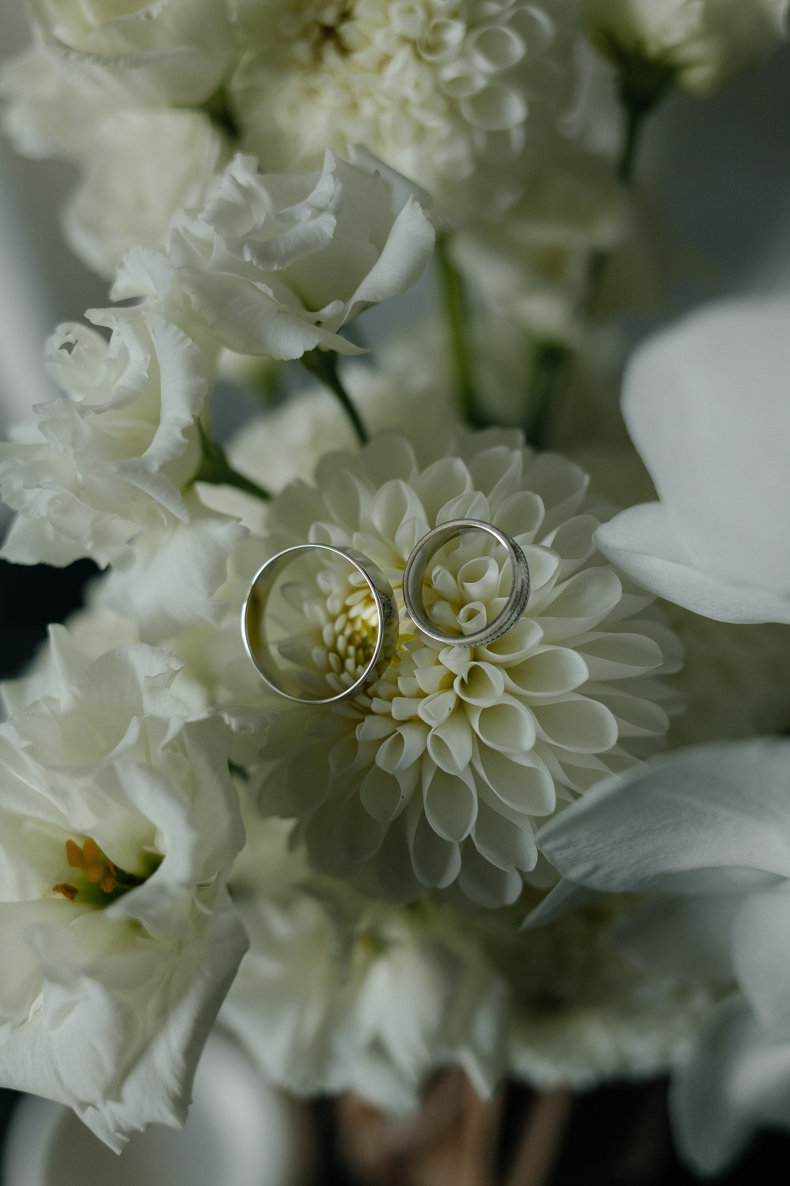 A & O. Фотограф Ольга Сапронова. Свадебный фотограф Ольга Сапронова