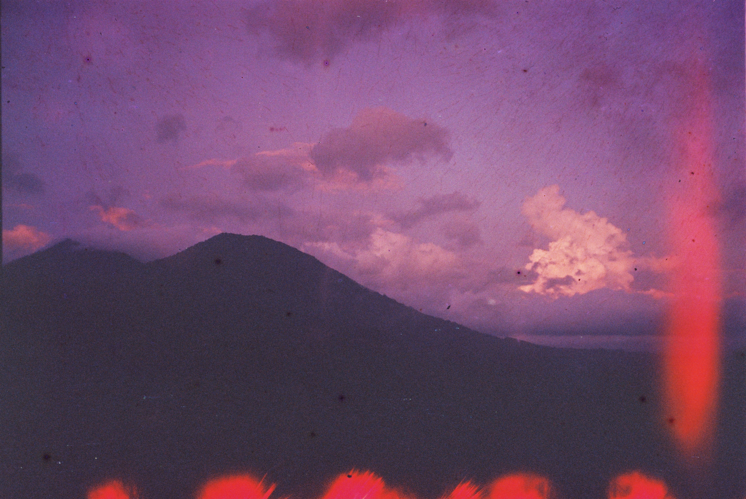 SWASTIASTU. Сocoobird || Атмосфера твоего бренда в снимках и видео