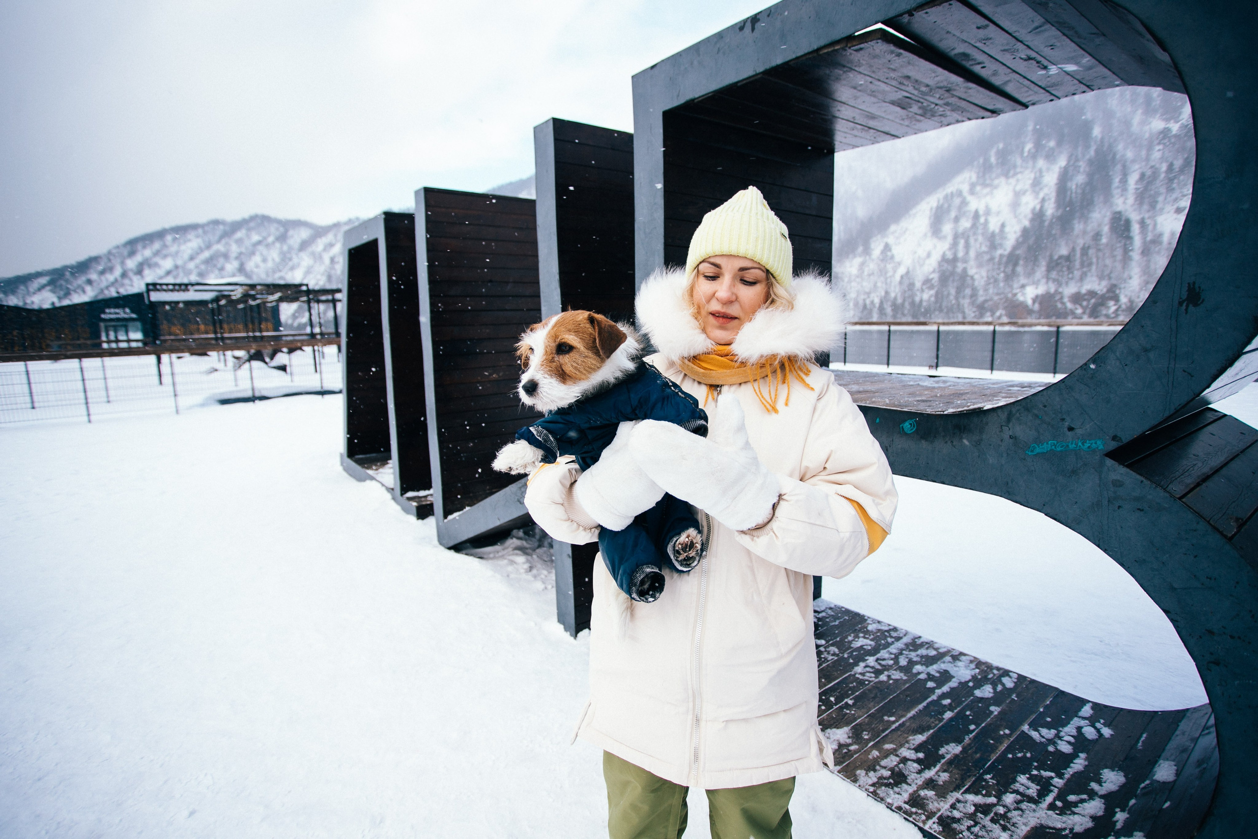 Фотосессии собак. Фотограф Дарья Локотко в Красноярске