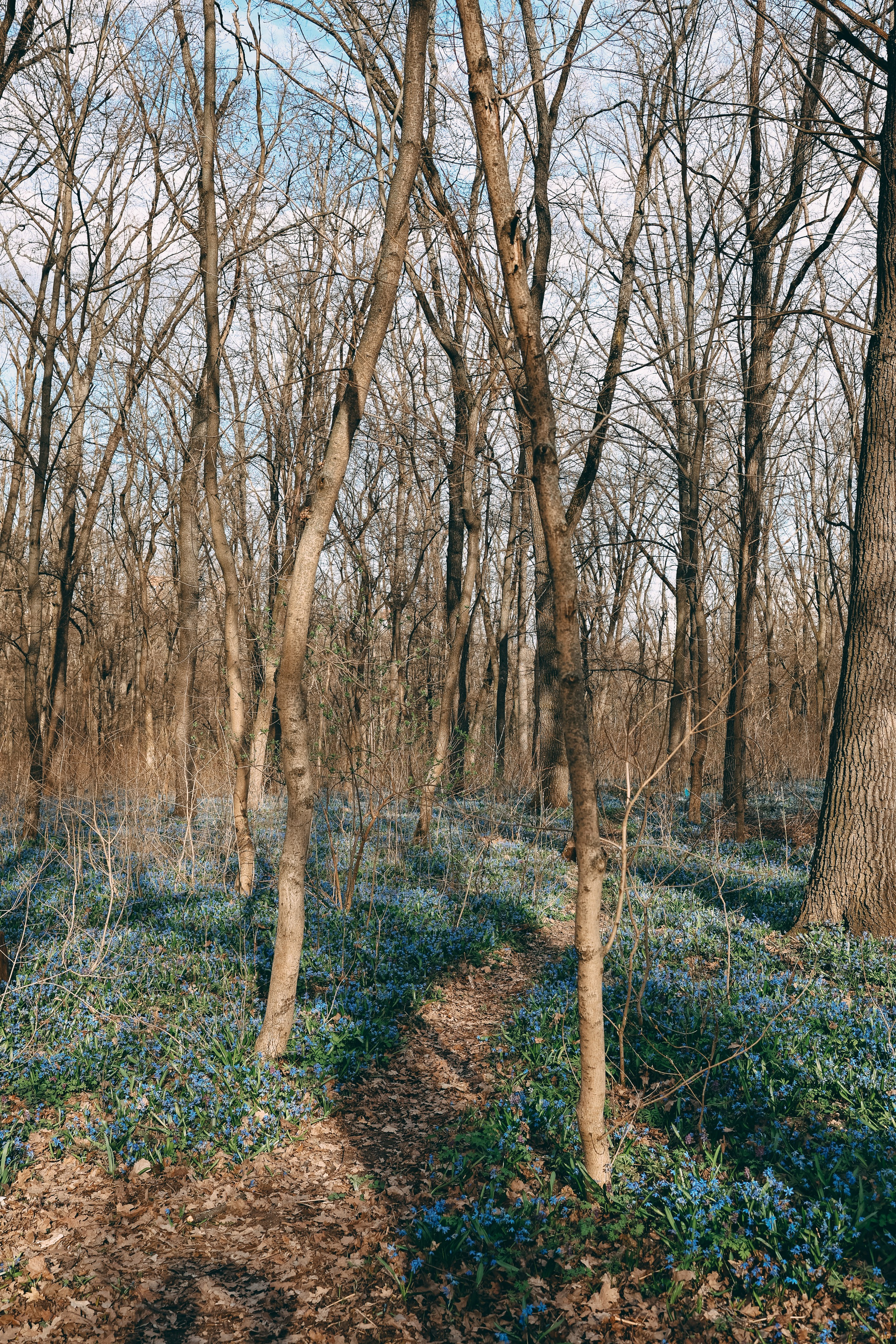 Маргарита, Василиса и Сергей. Свадебный и семейный фотограф в Воронеже Ксения Воротникова