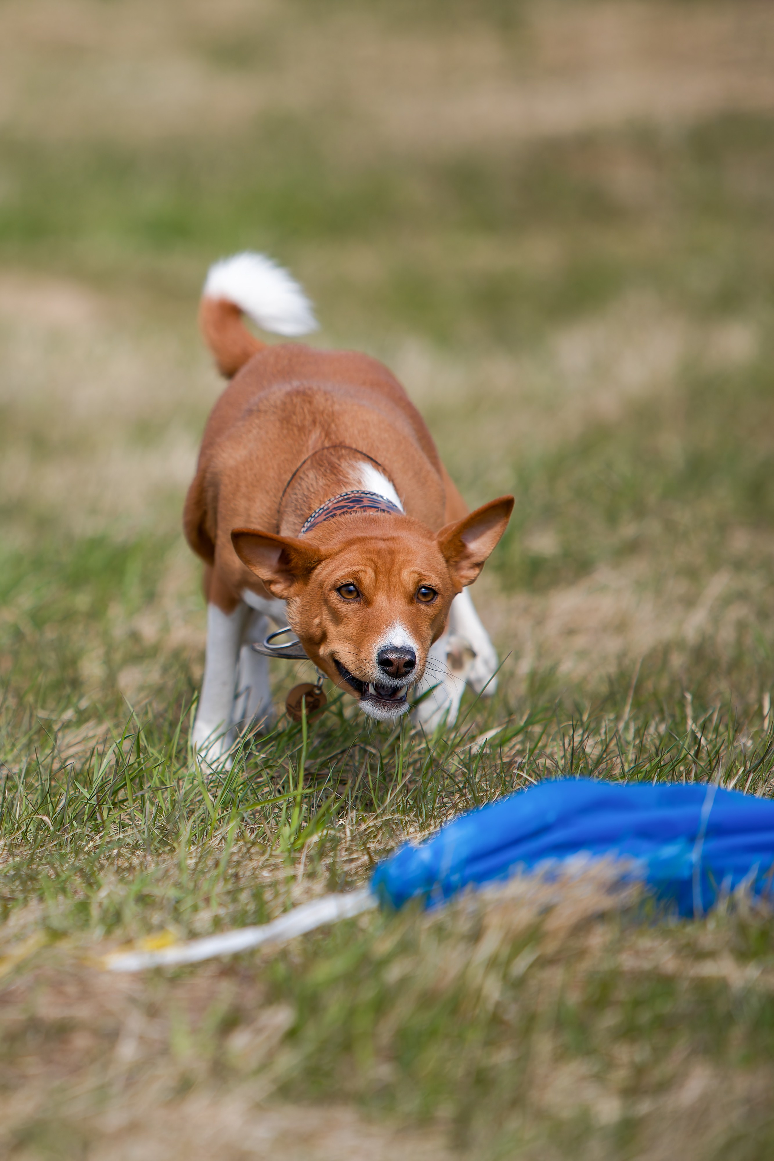 Lure Club 2025. Irenephoto.ru