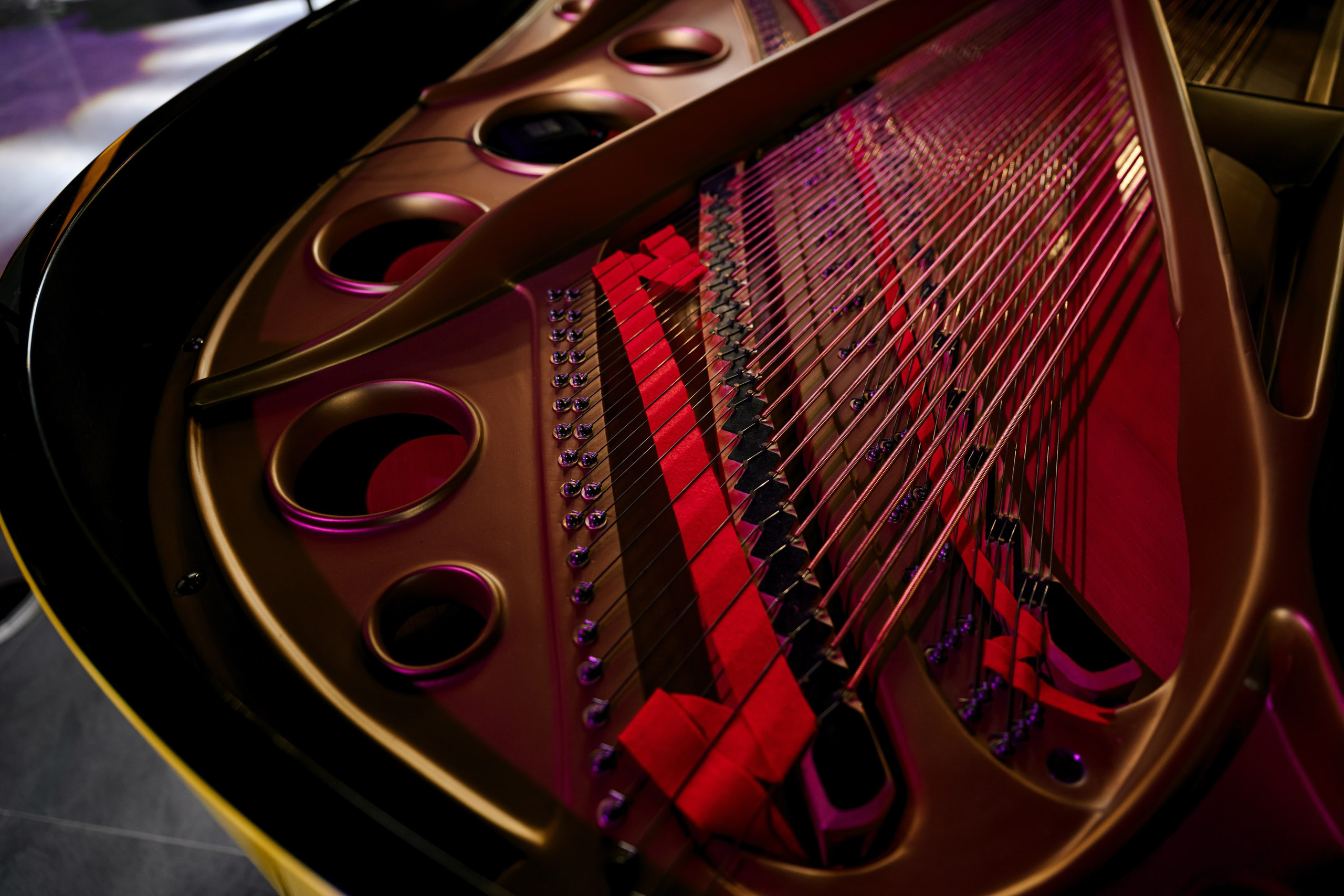 Amundsen. Максим Комаров — Профессиональный фотограф