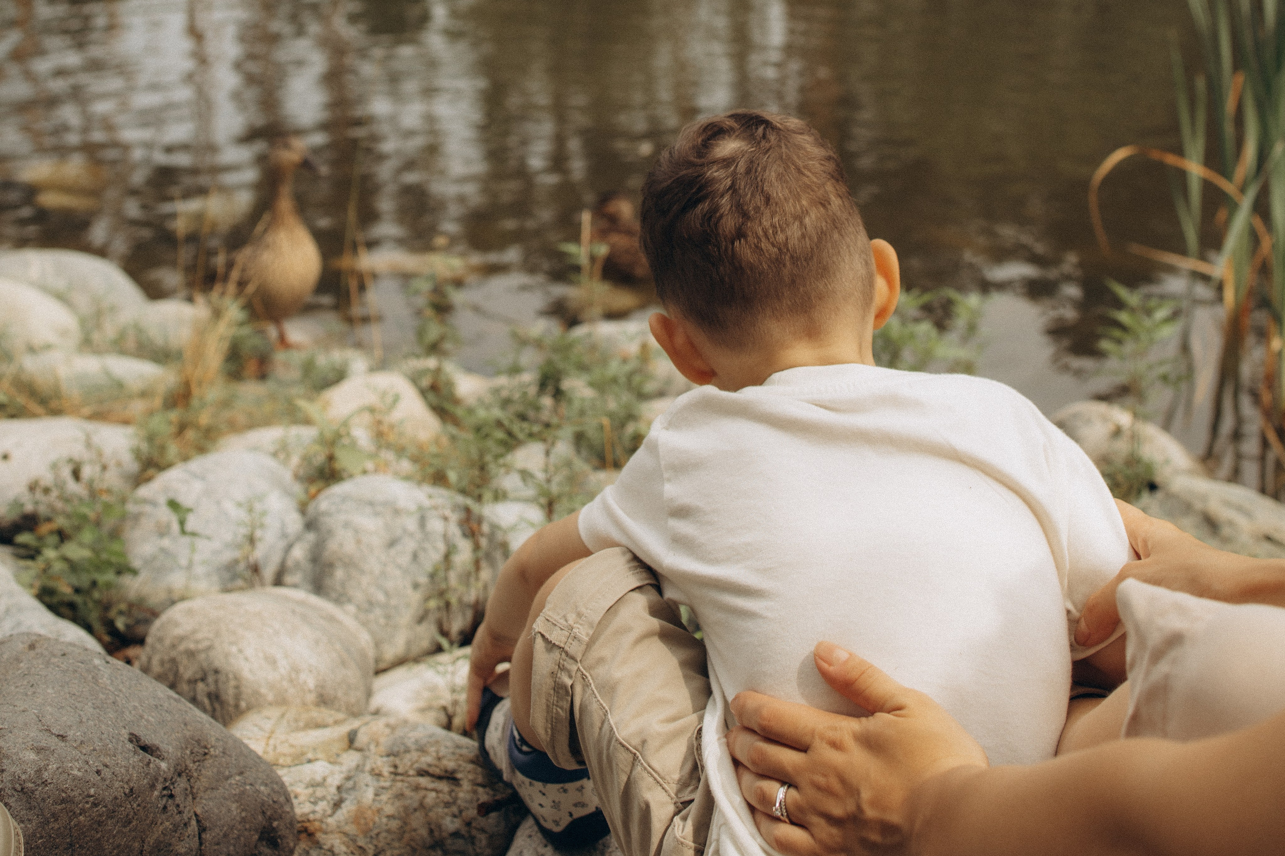 Арам, Тата и Давид. Семейный фотограф в Москве Анастасия Шалда