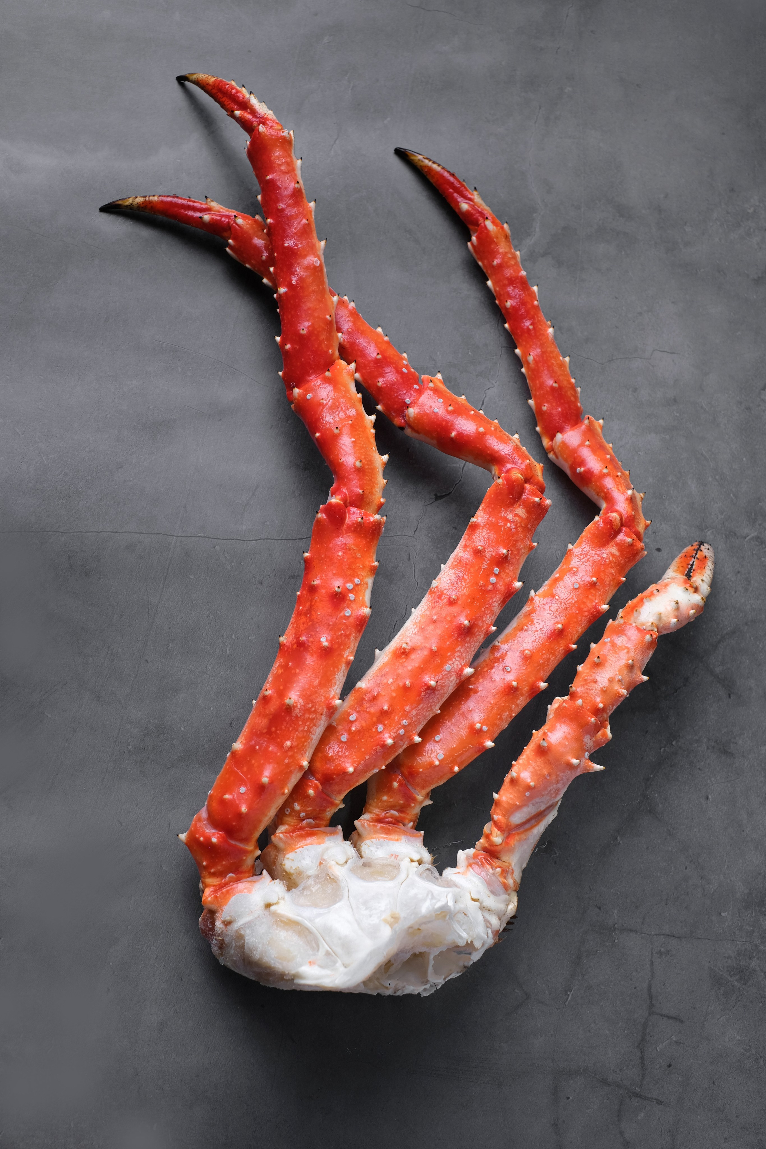 Щупальца краба 