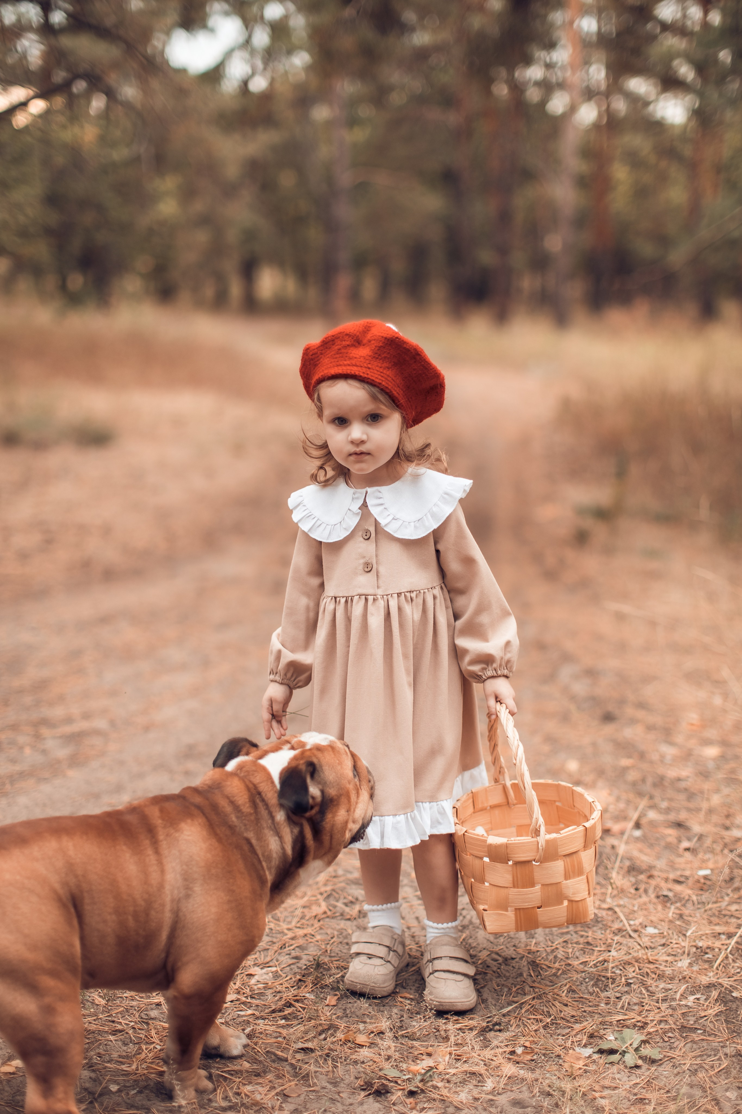 Прогулка в Широком. Главная