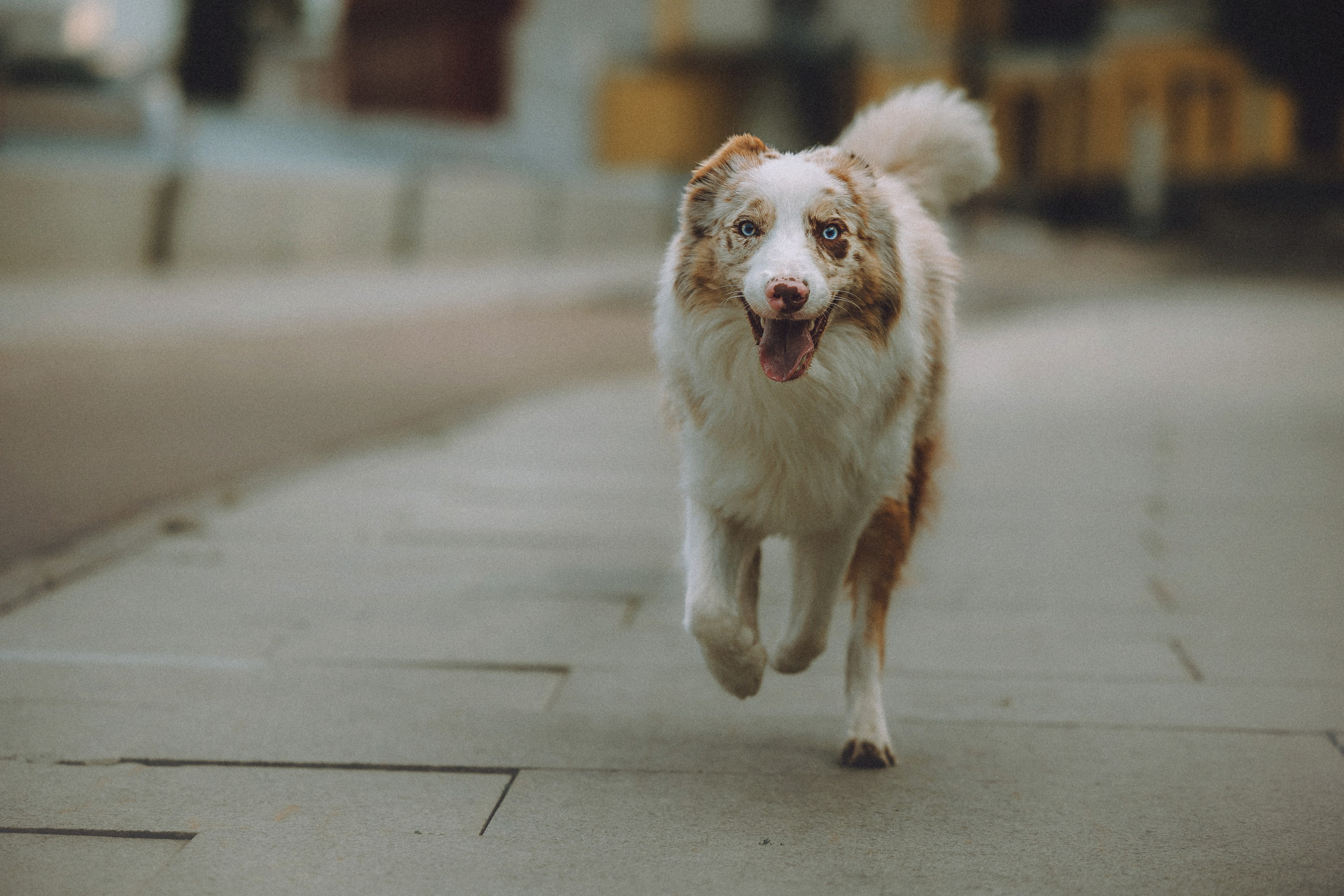 Один и его семья