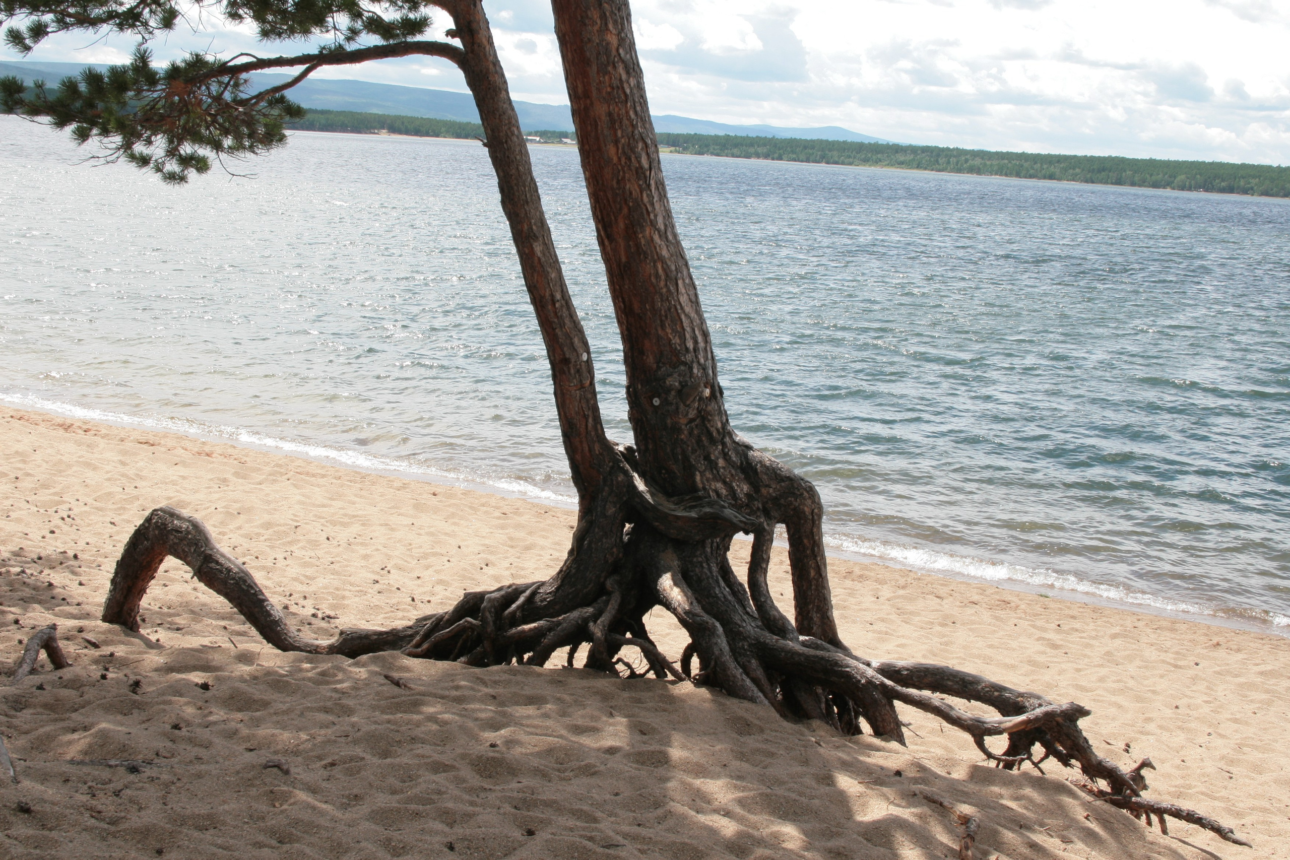 Фото Природы Забайкалья. Студия Максима Белослюдцева