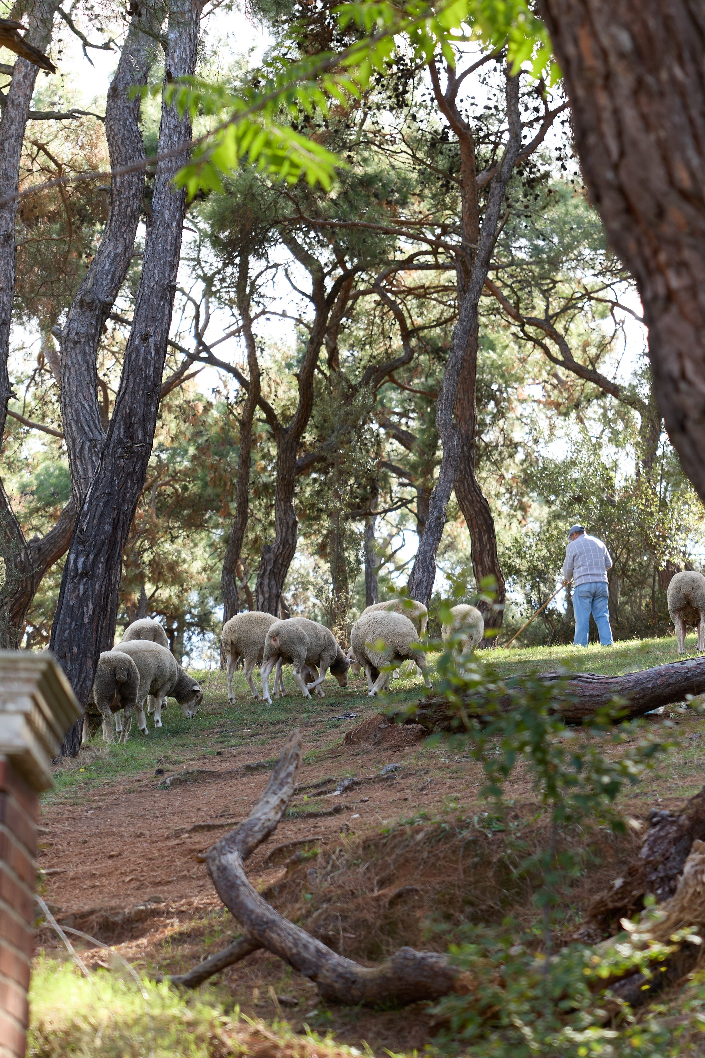 Стамбул 24. Фотограф Москва, Дима Пеллер