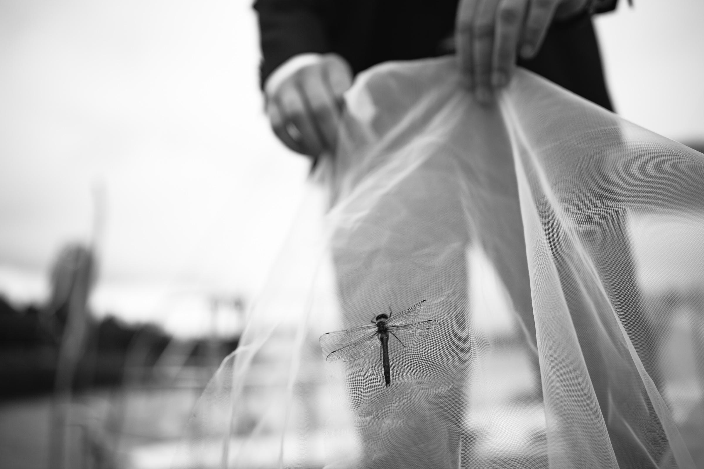 Вдохновляющая свадебная фотосессия на природе