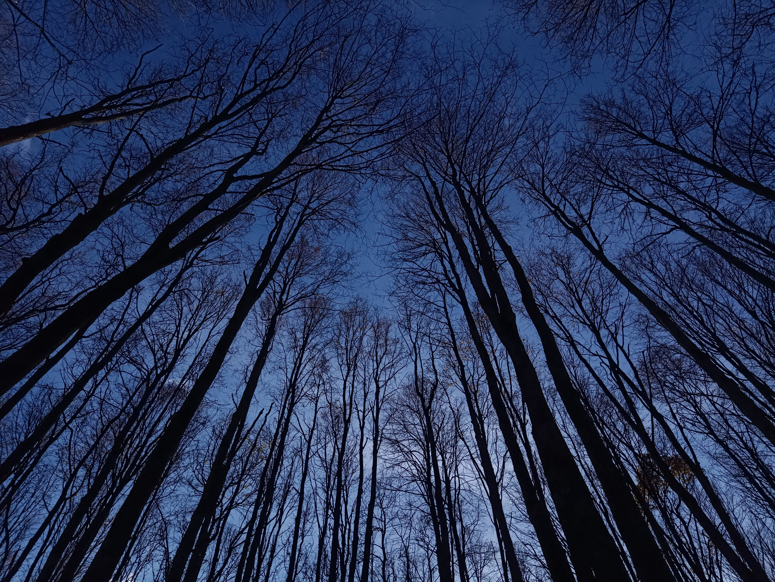 Фотограф | Москва