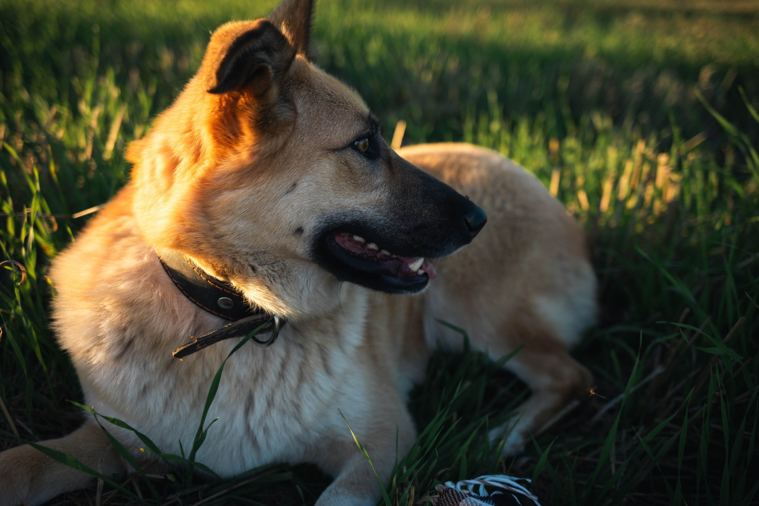 Альбом2. Фотограф Мария Сургаева | Профессиональная фотосъемка в Москве