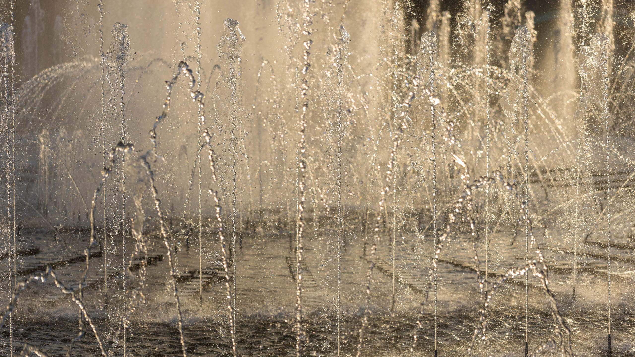 2023 09 Царицыно. Фотографии