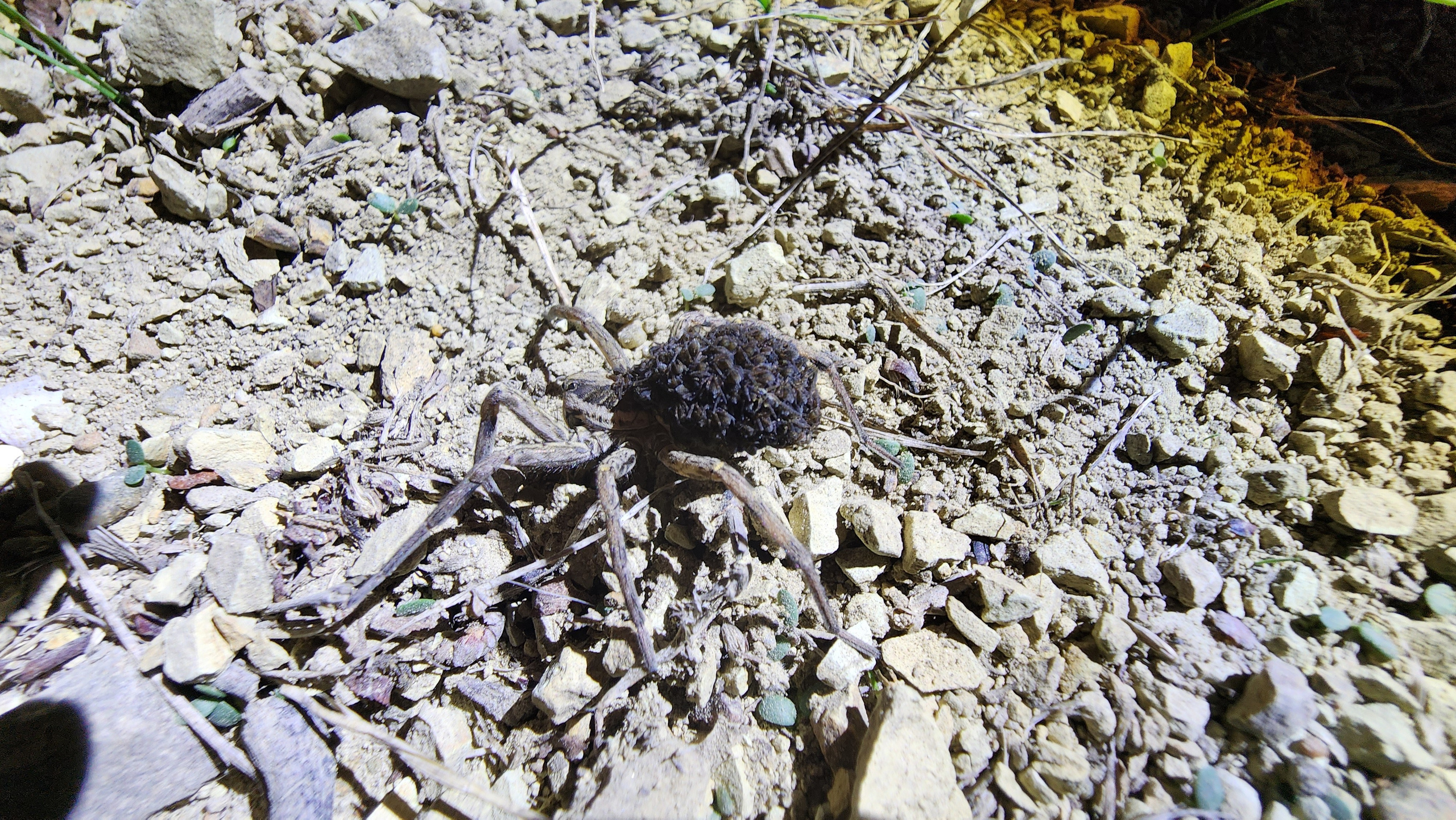 Горячий Ключ (2024-09-20). Собор Отрасли