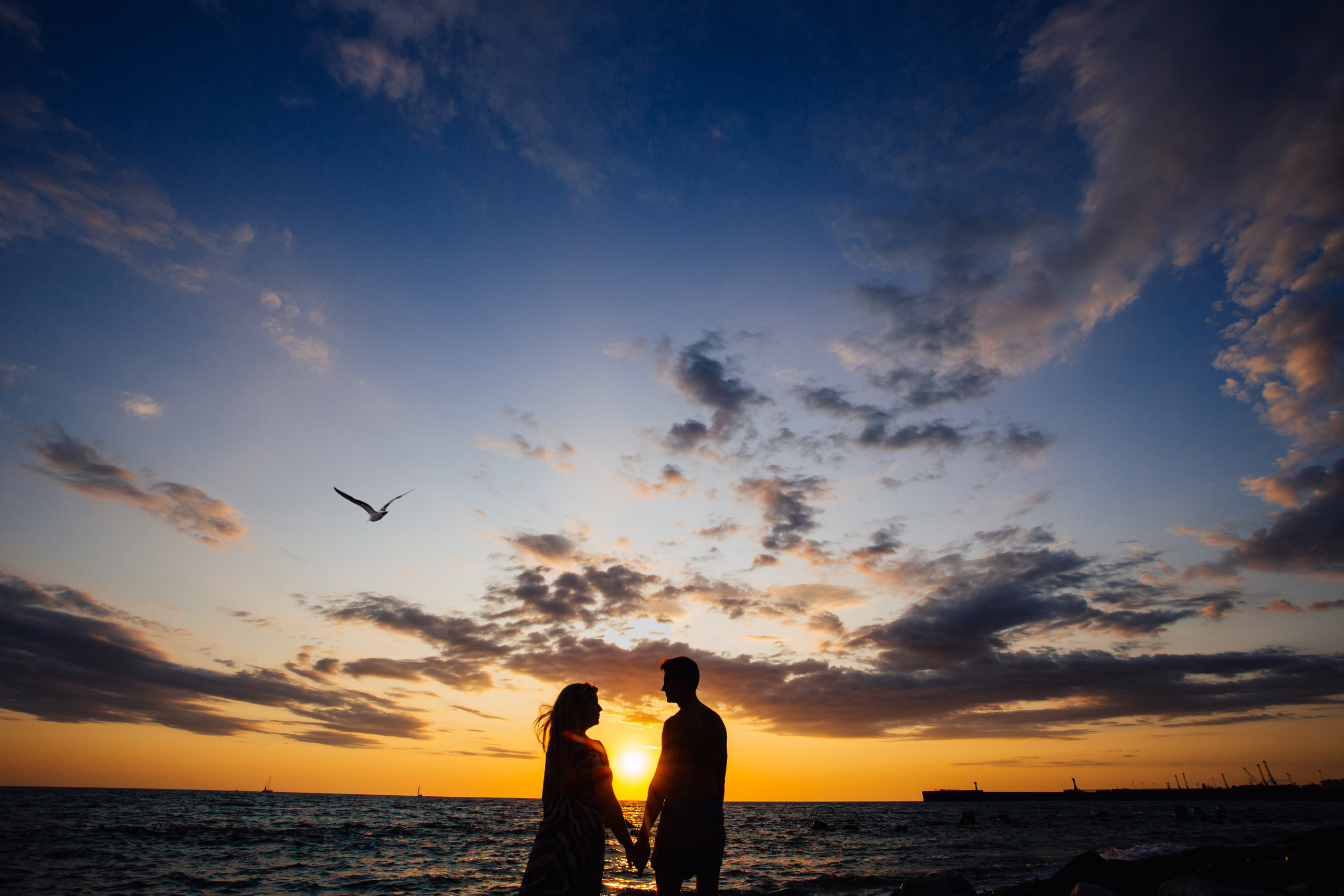 Сочифорния. Милана Довгаль - семейный фотограф и видеограф  в Адлере и Сочи