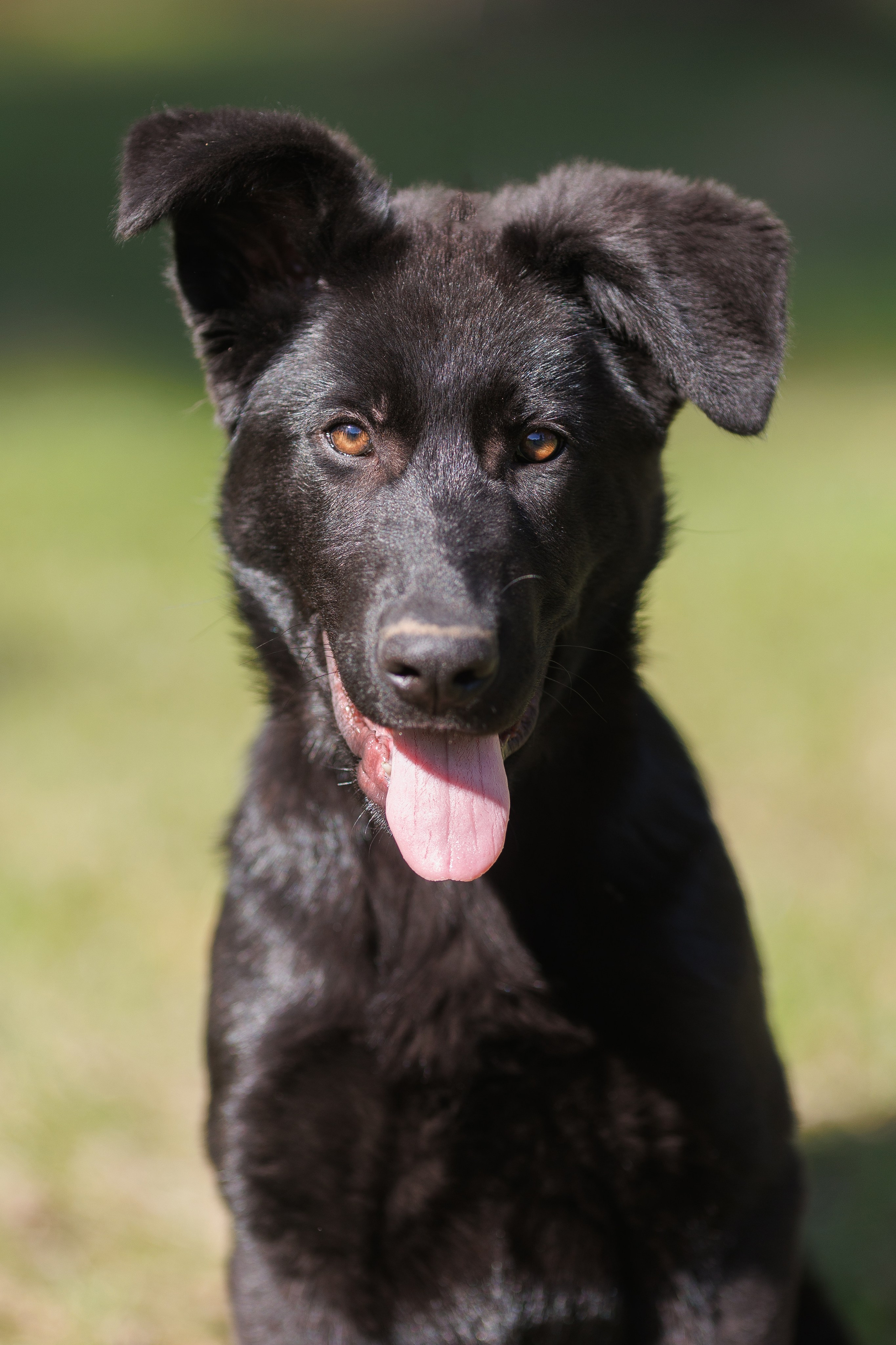 Репортажный фотограф Борис Геер