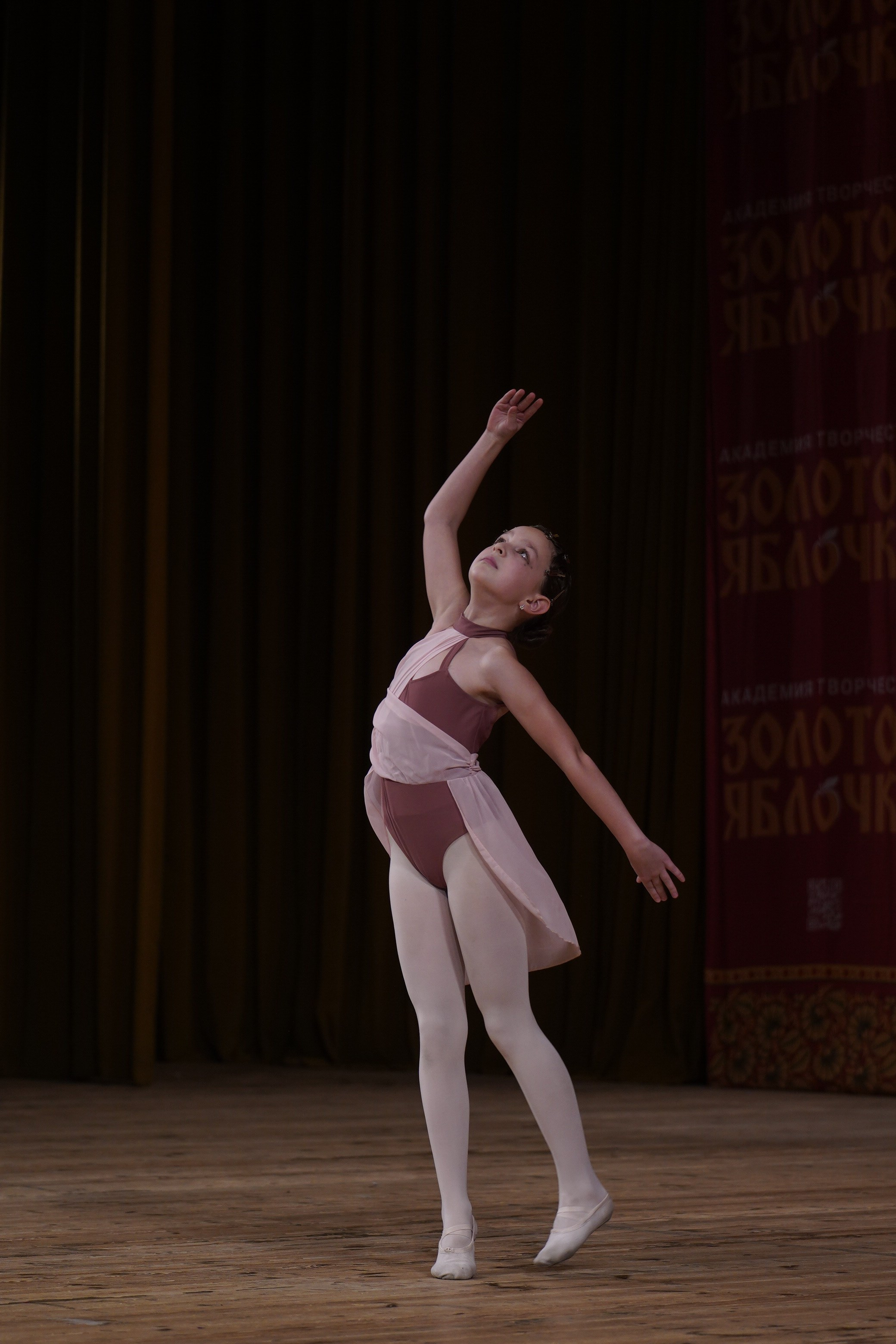 24 ноября, г. Санкт-Петербург. Золотое яблочко