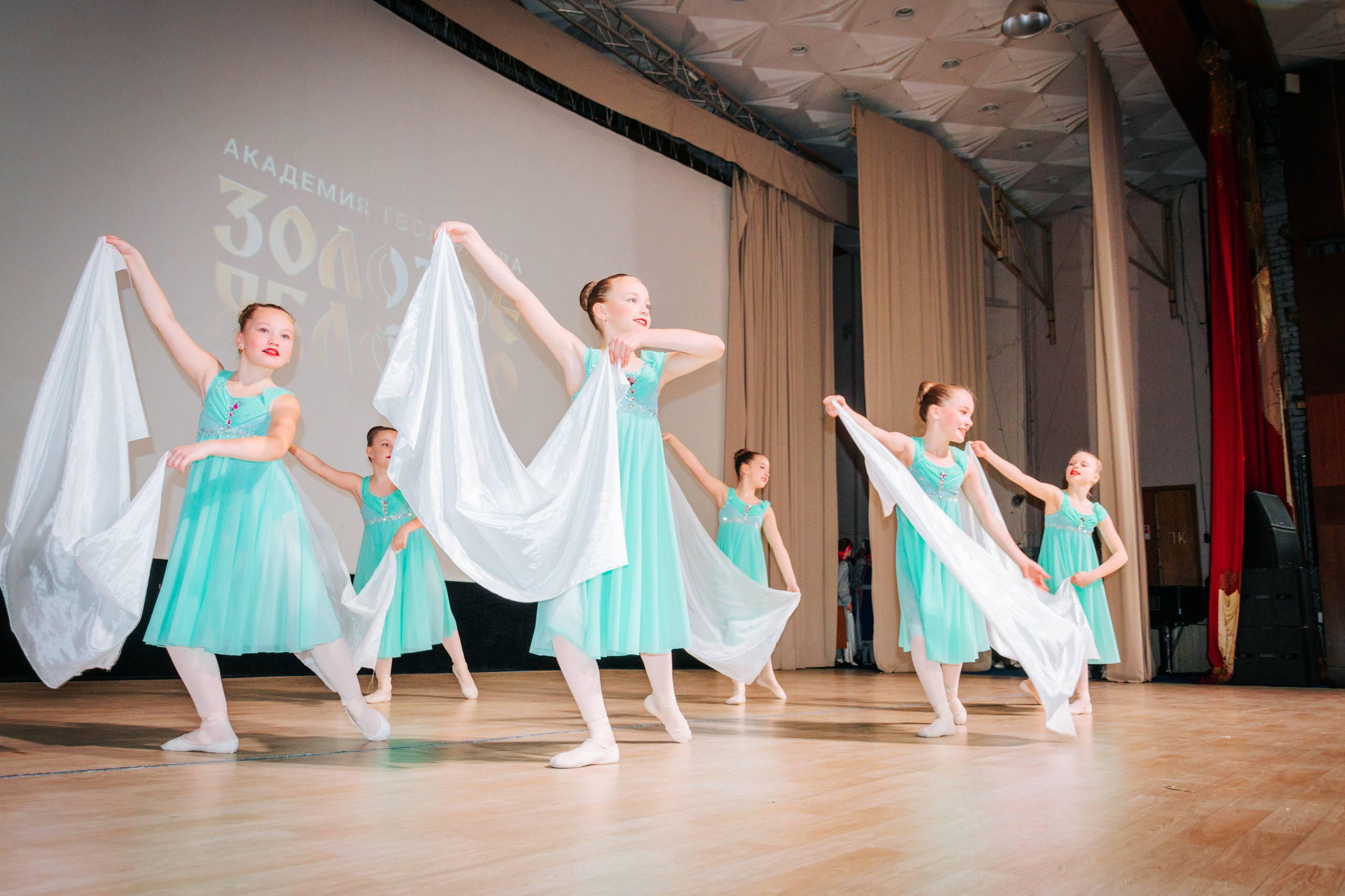 16 марта, г. Суздаль. Золотое яблочко