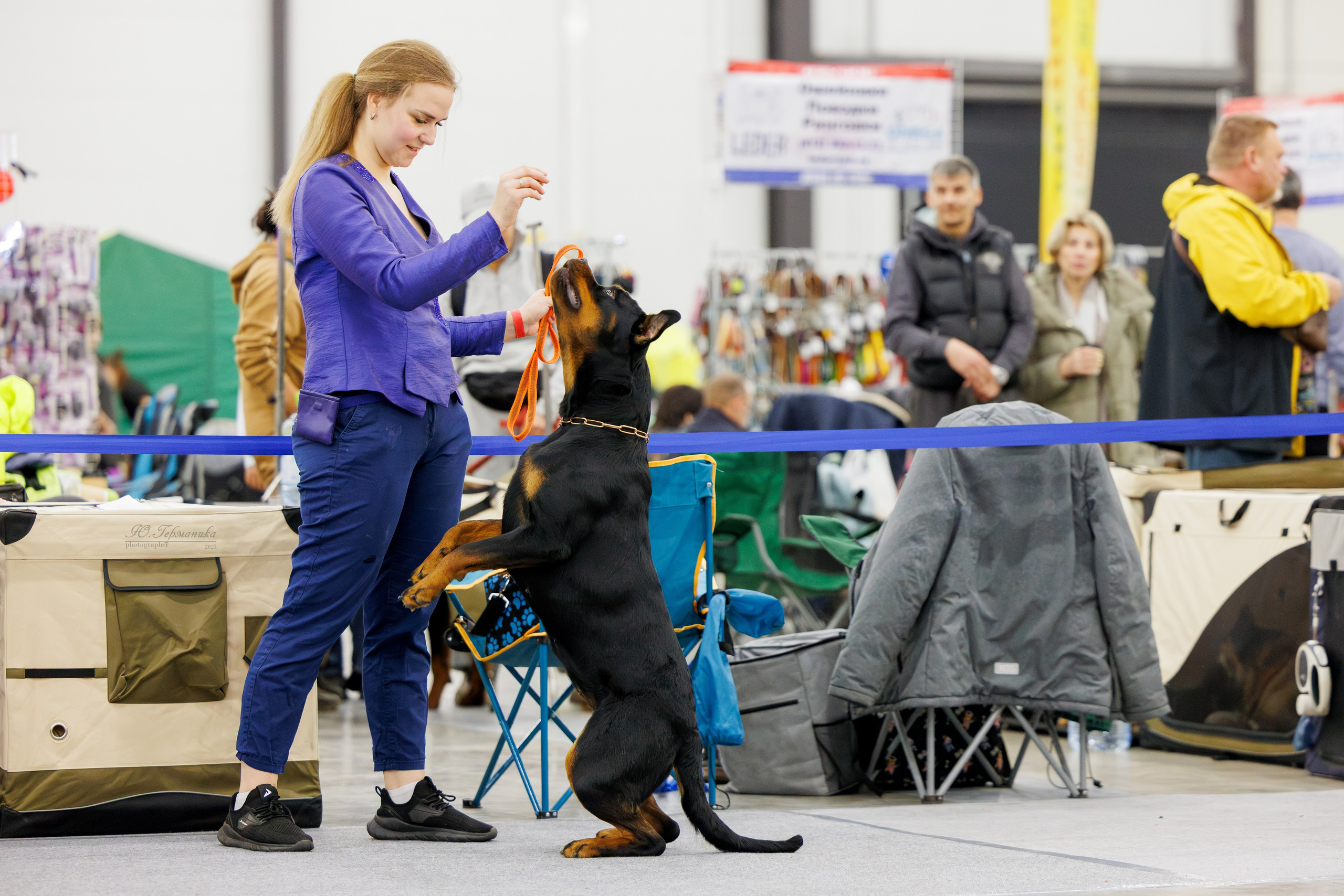 Питер 12-13.12.2025. Фотограф-анималист Юлия Германика