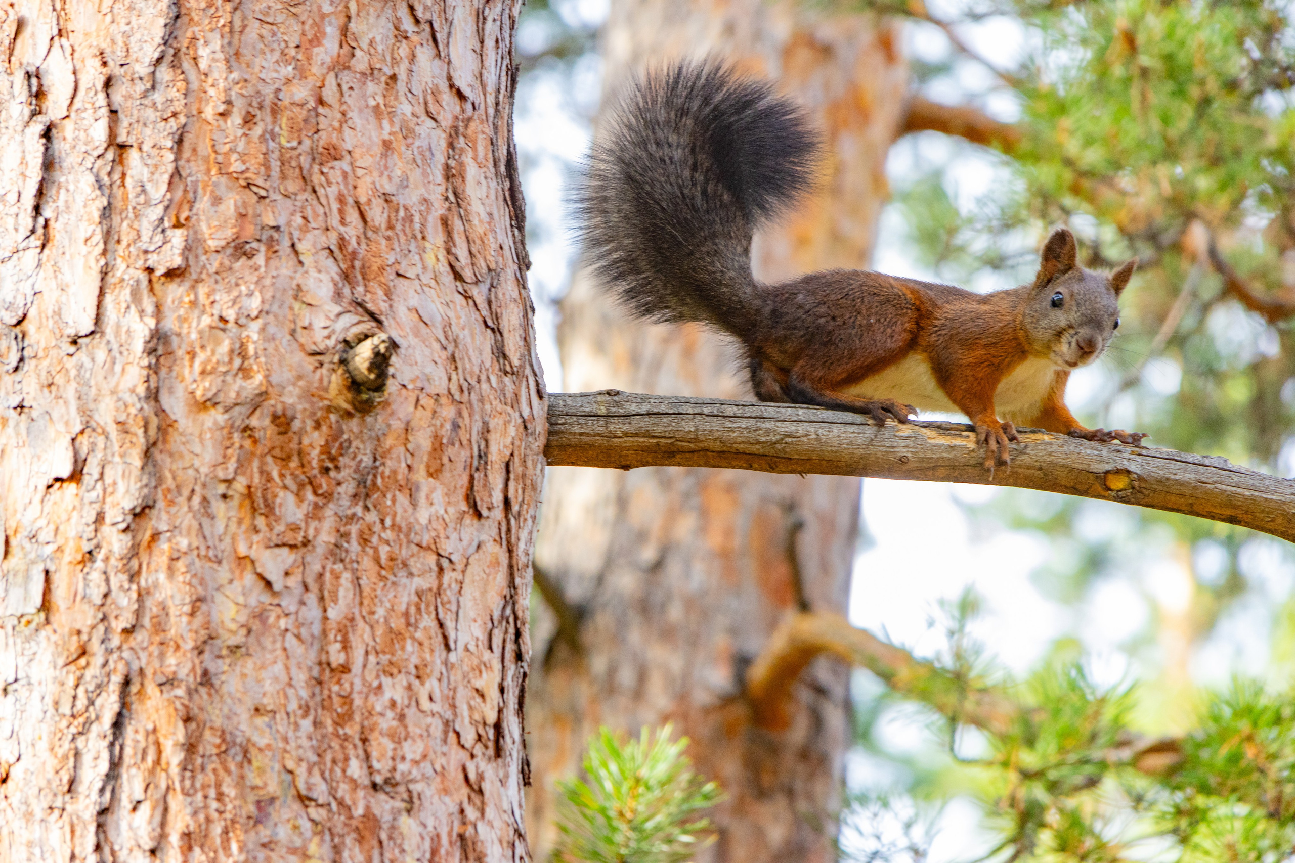 Улан-Удэ. Jean De Vivre Gallery